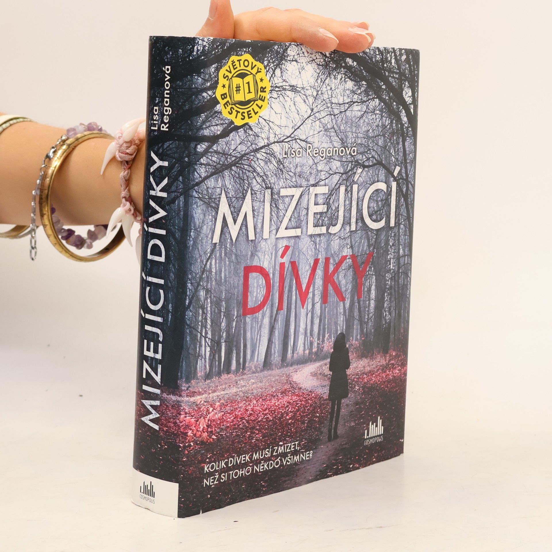 Lisa Regan Mizející dívky