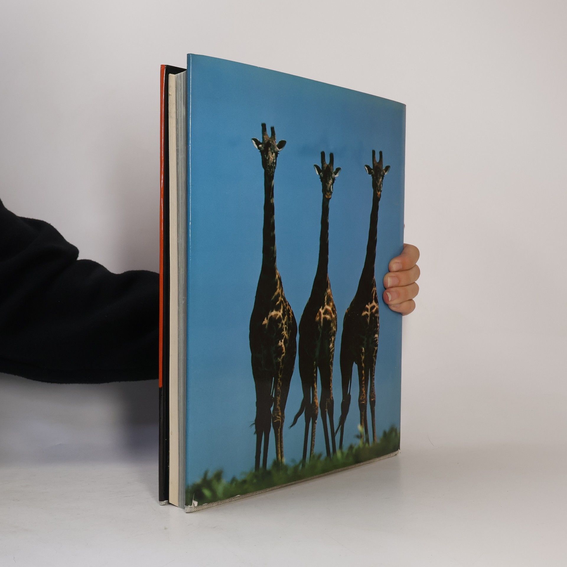 Reinhard Künkel Abenteuer Serengeti