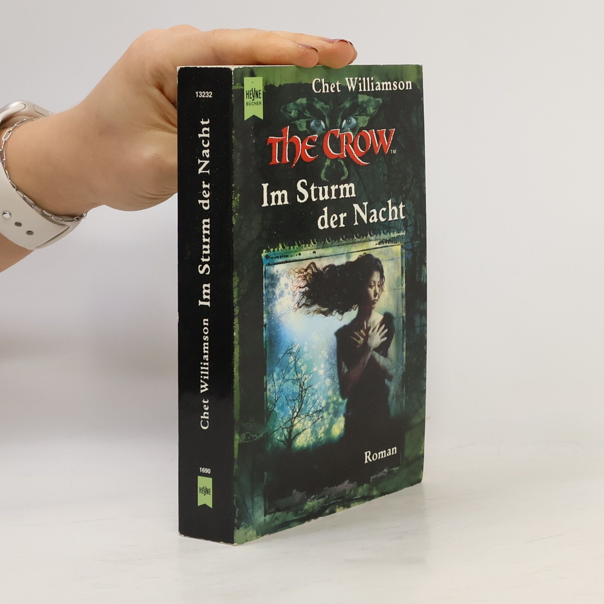 Chet Williamson The Crow, Im Sturm der Nacht.