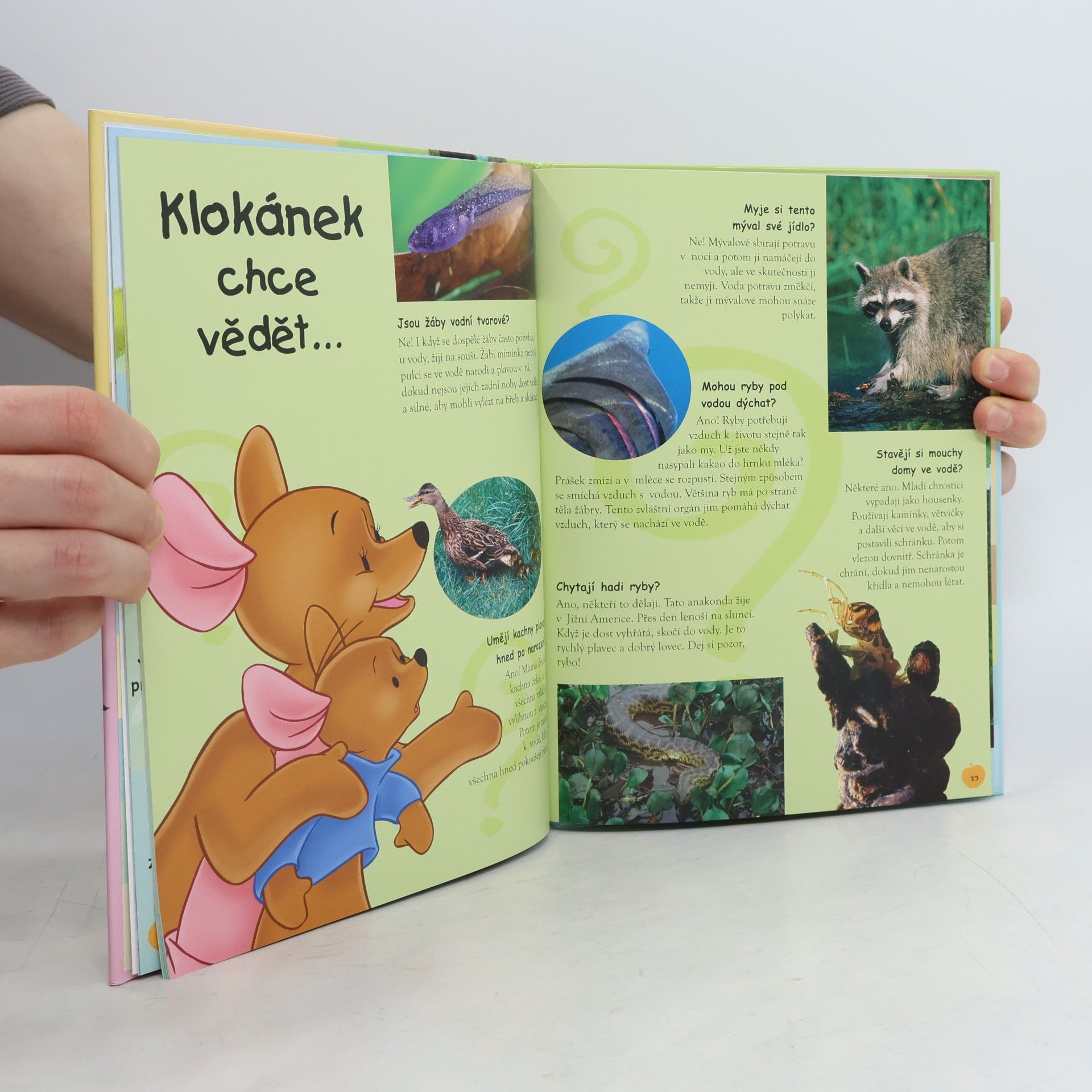 Walt Disney Moje první kniha moří, řek a jezer s Medvídkem Pú a jeho přáteli