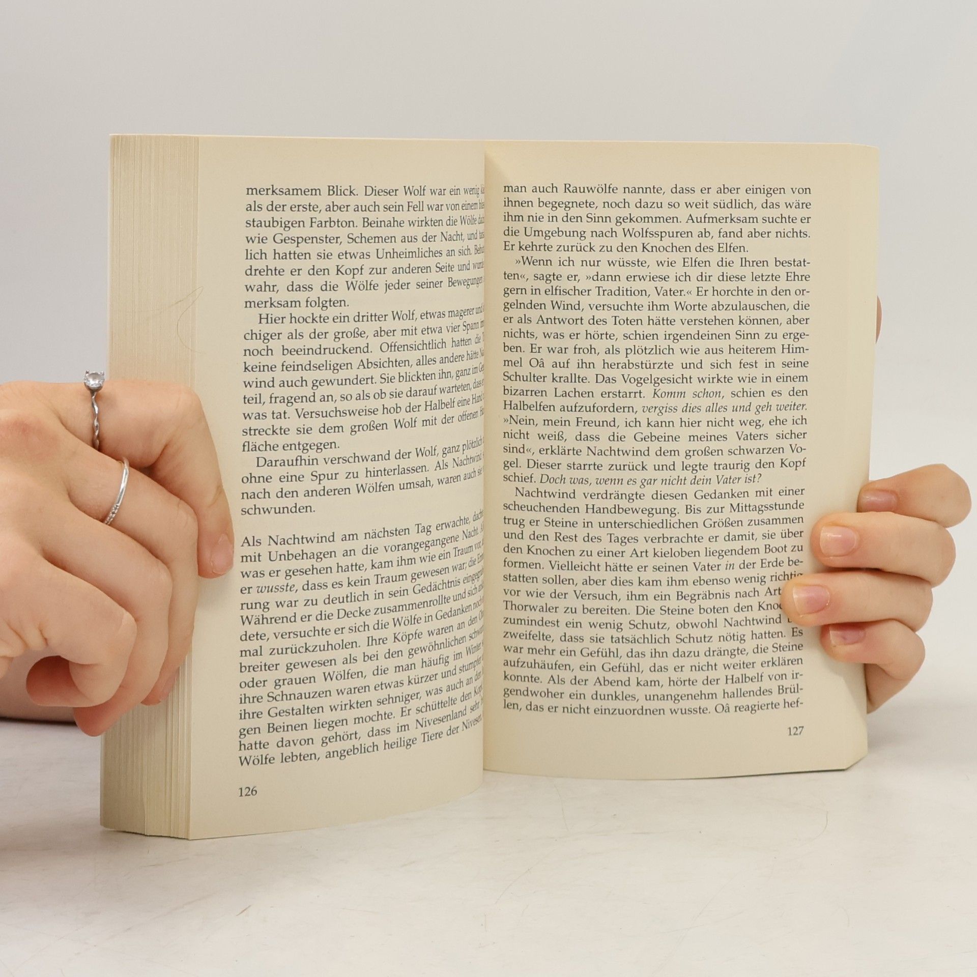 Alexander Huiskes Die Hand der Finsternis. Fantasy-Roman