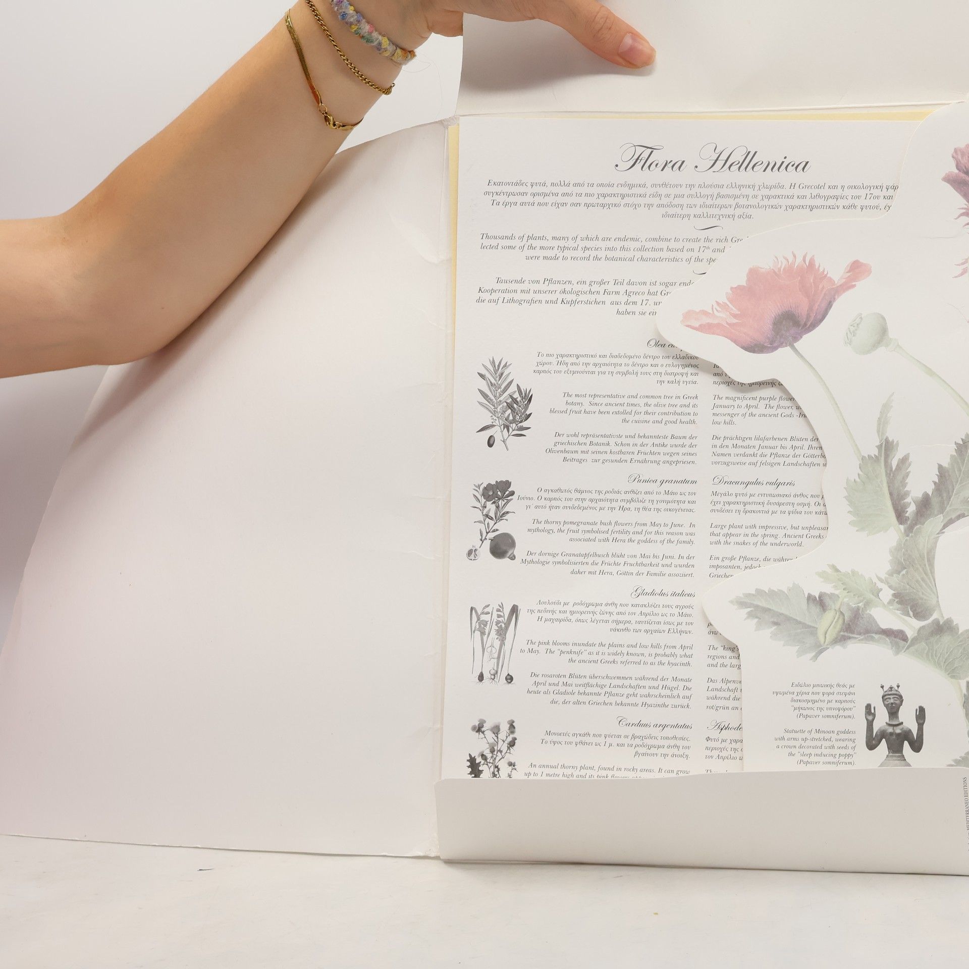 Various authors Flora Hellenica