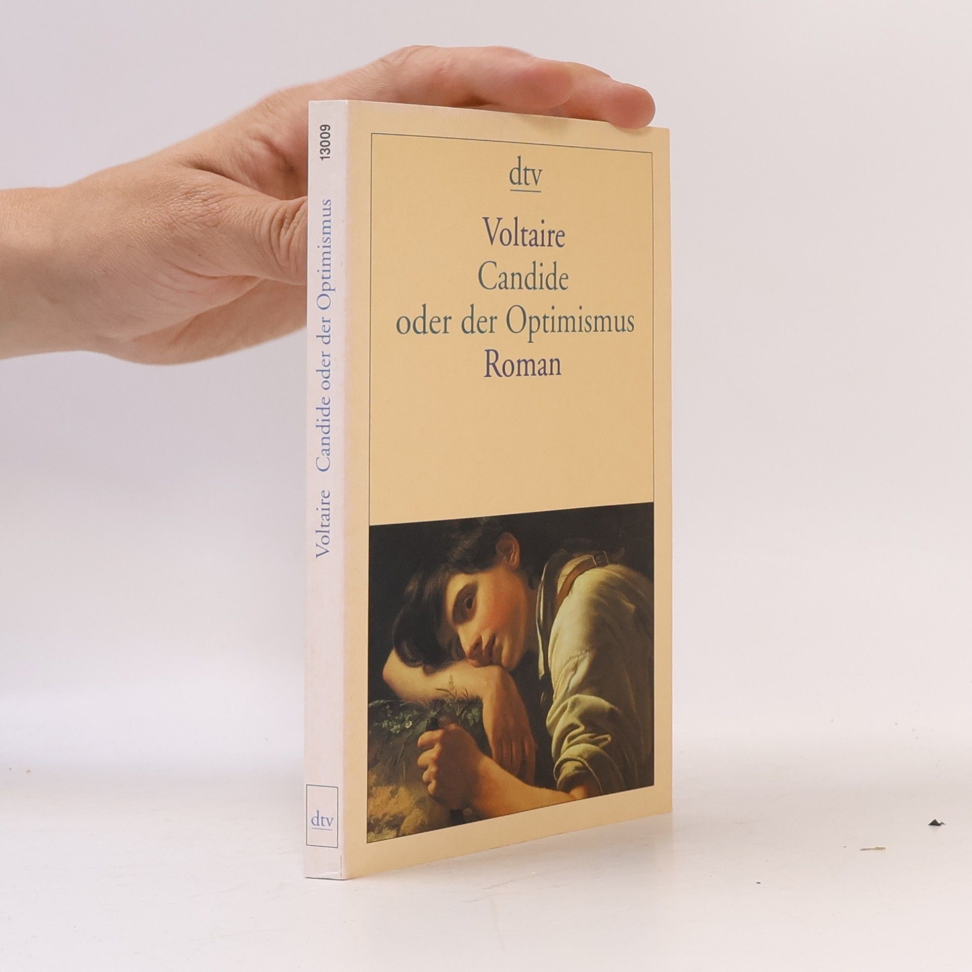 Wolfgang Tschöke dtv Literatur: Candide oder der Optimismus