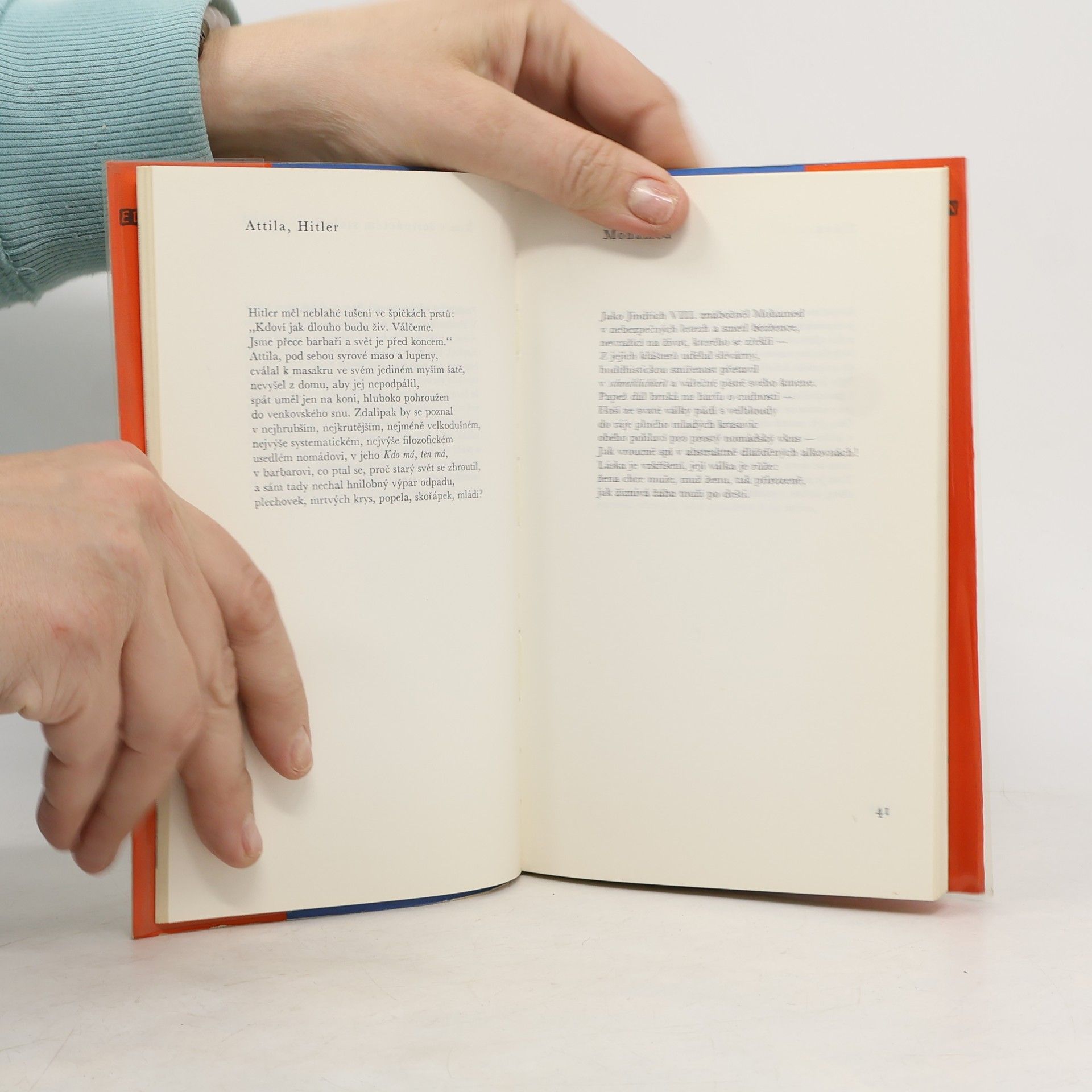 Robert Lowell Zjizvené nebe