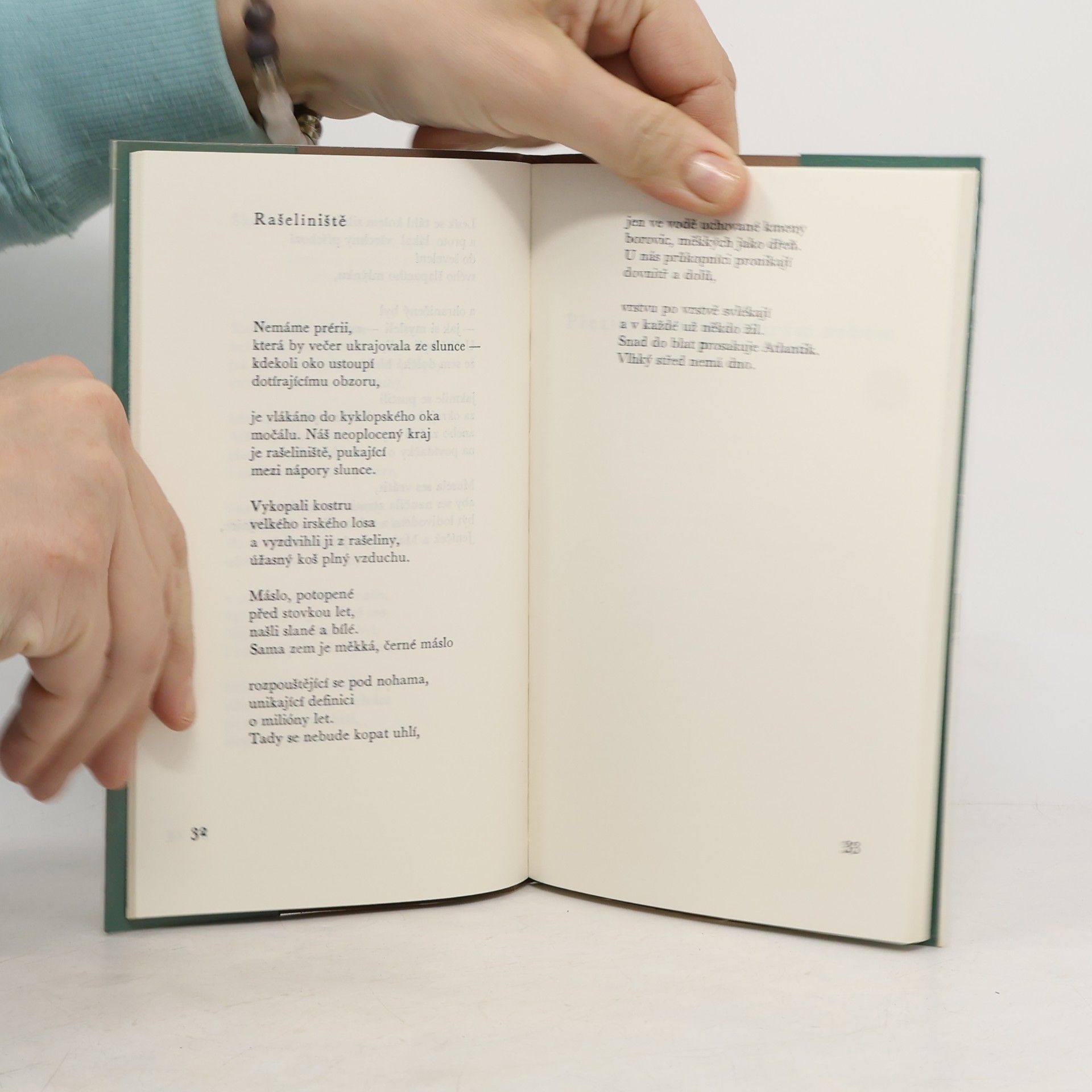 Seamus Heaney Přezimování pod širým nebem