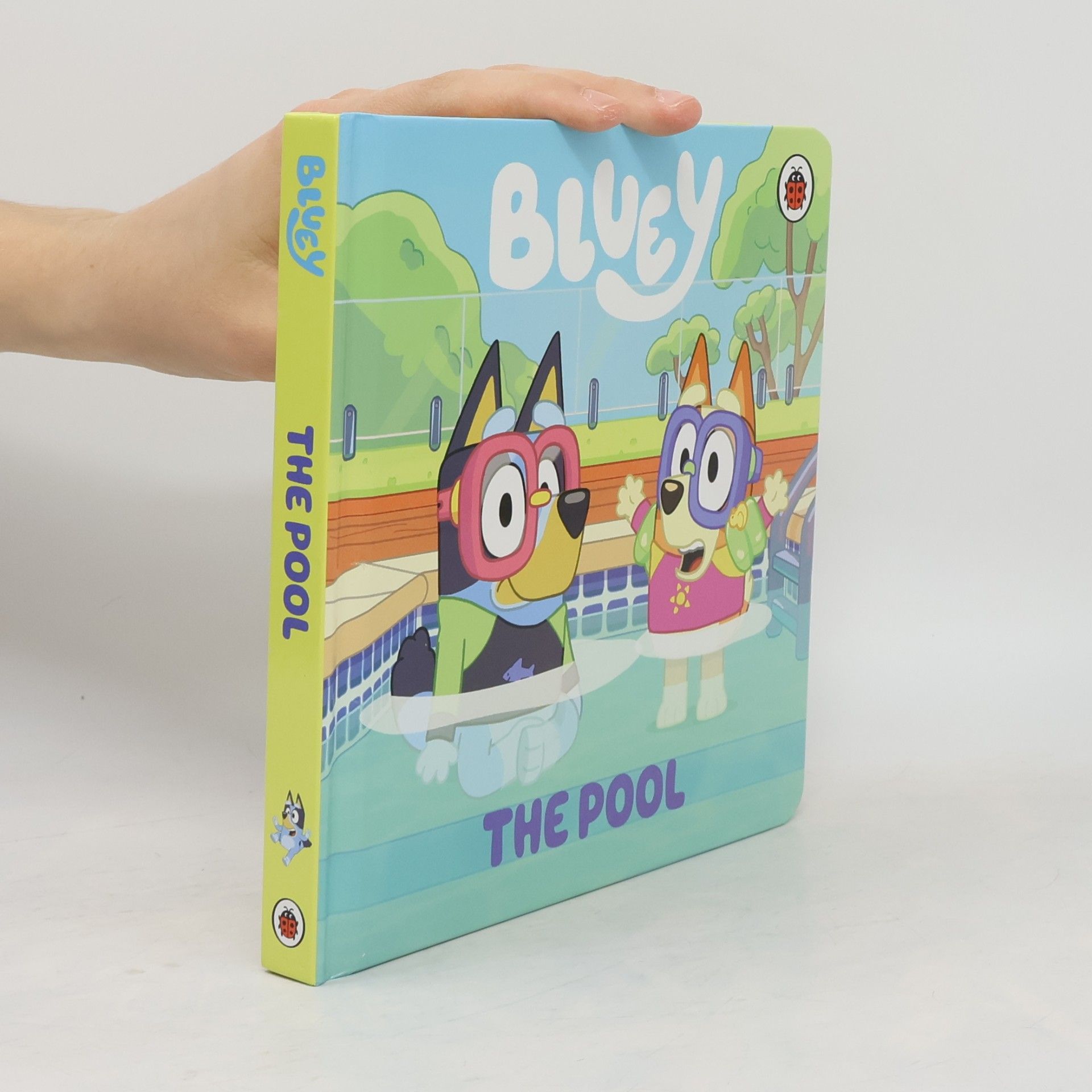 Bluey Bluey: The Pool