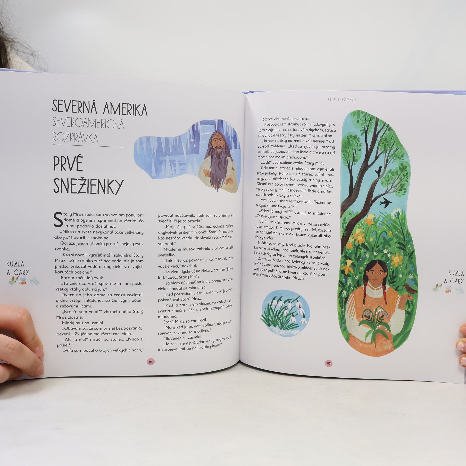 Autorenkollektiv Veľka kniha zimných rozprávok