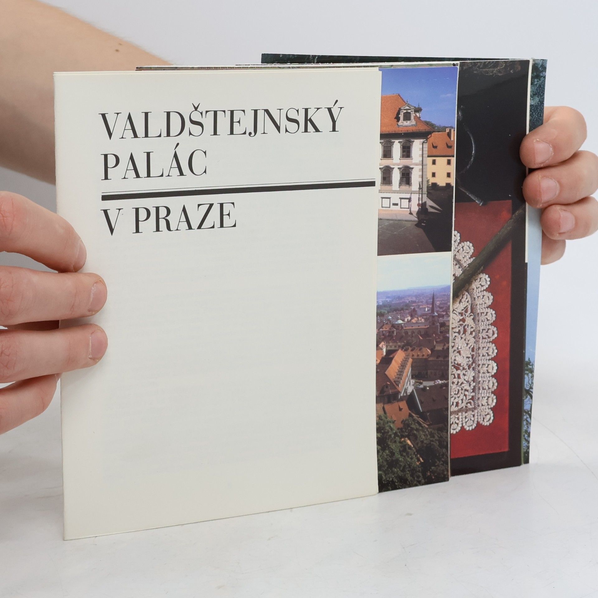 Various authors Valdštejnský palác v Praze