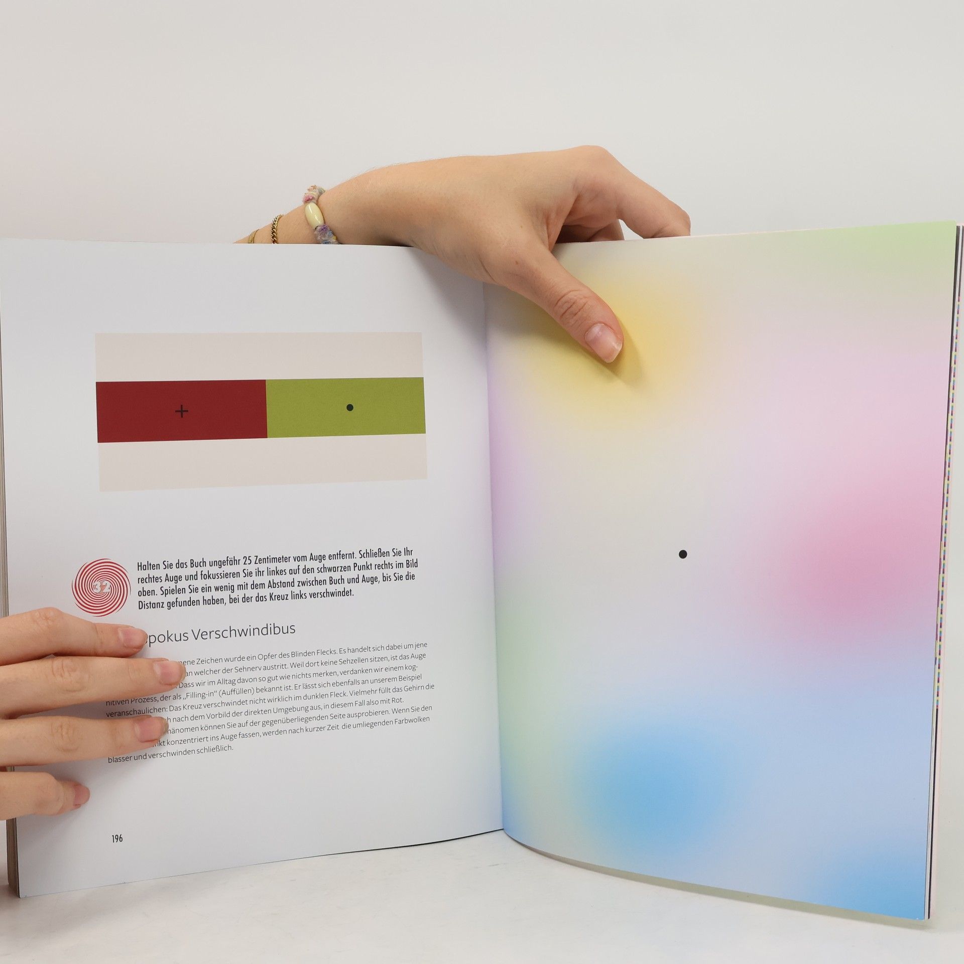 Georg Rüschemeyer Optische Illusionen