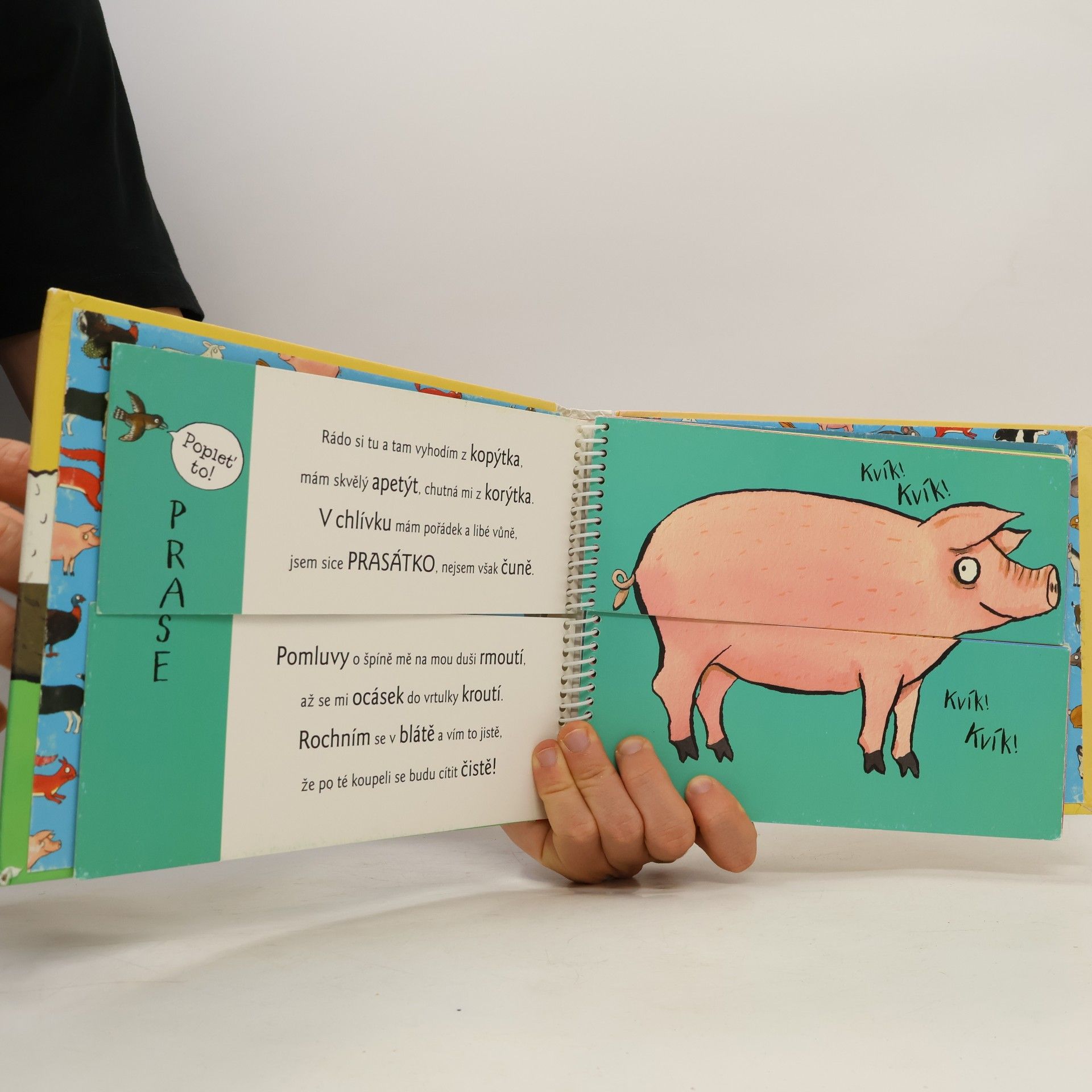Axel Scheffler Rozpustilé hrátky na dvoře se zvířátky