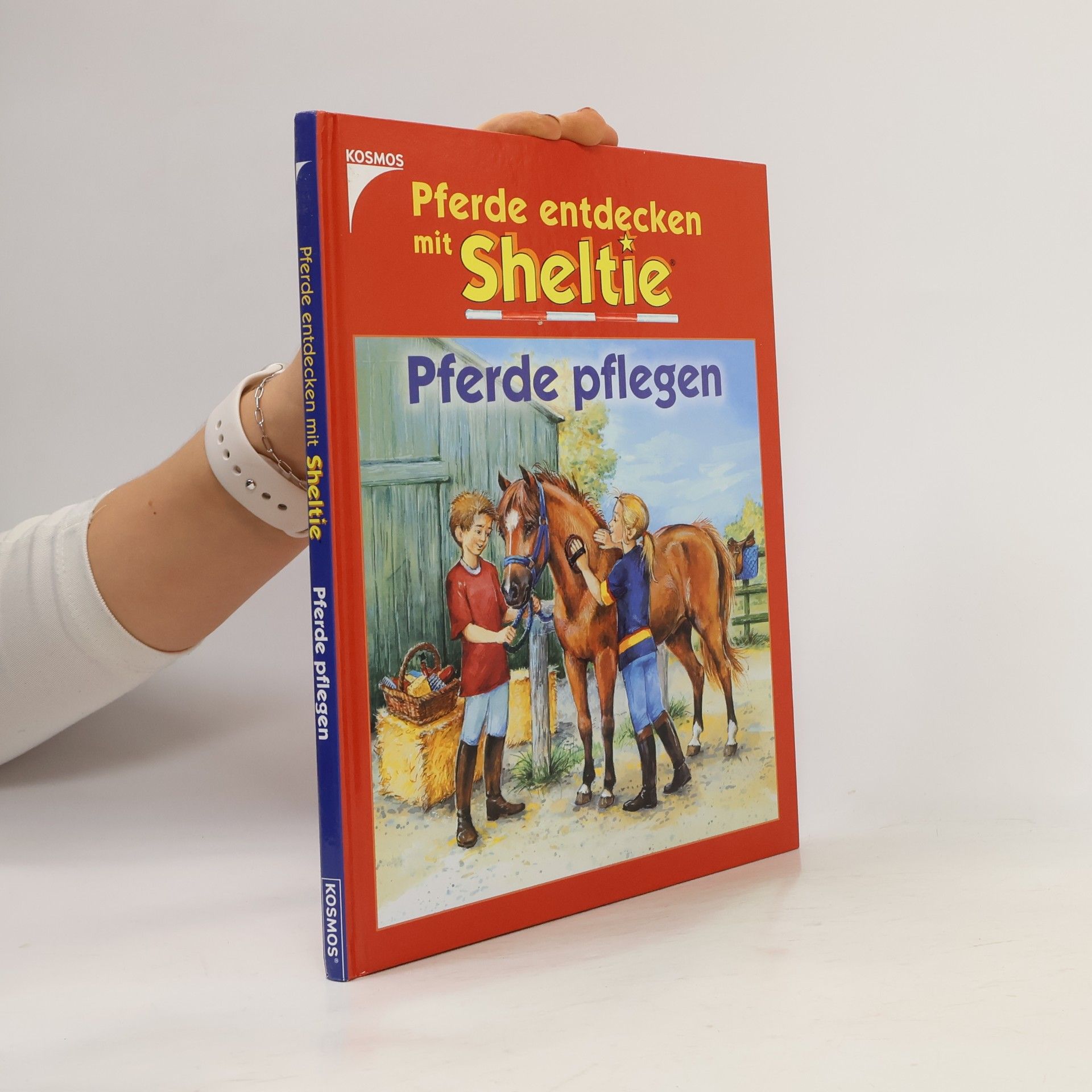 Autorenkollektiv Pferde pflegen