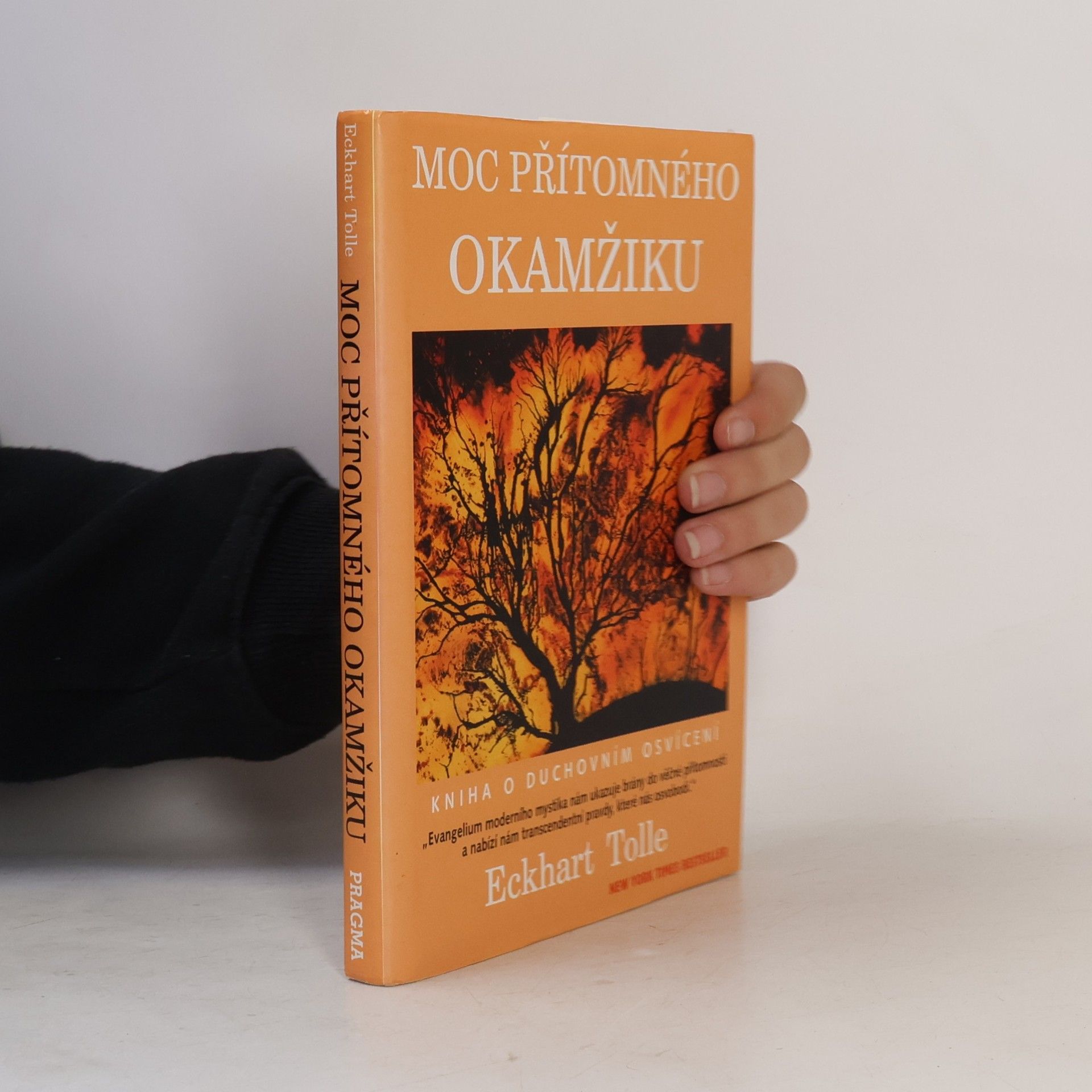 Eckhart Tolle Moc přítomného okamžiku