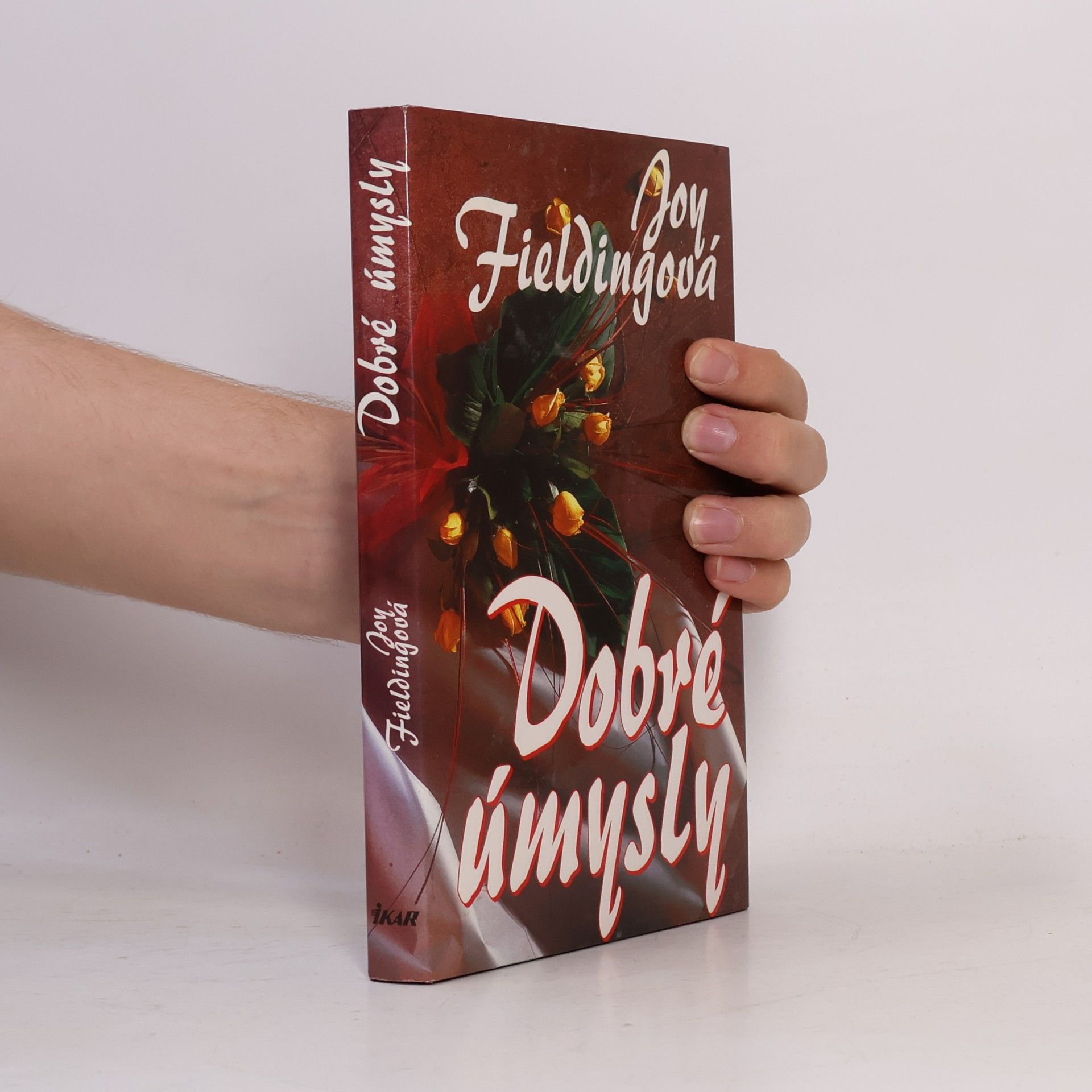 Joy Fielding Dobré úmysly