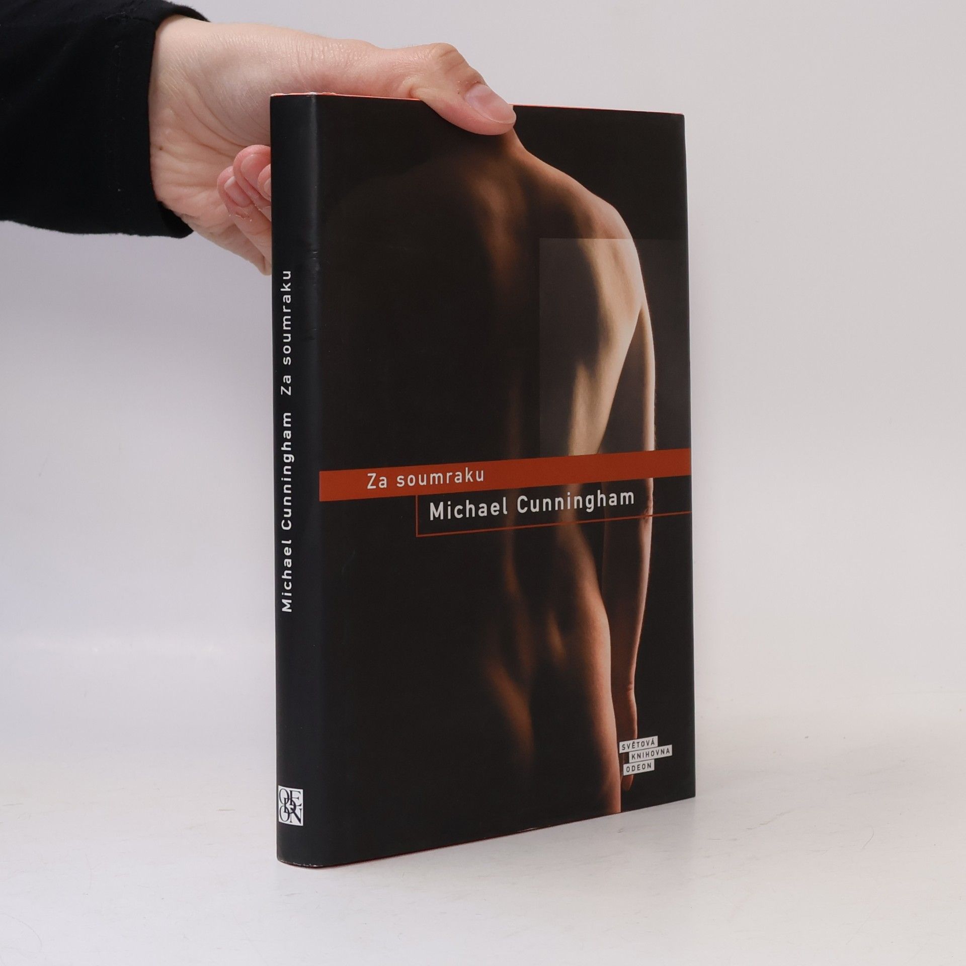 Michael Cunningham Za soumraku