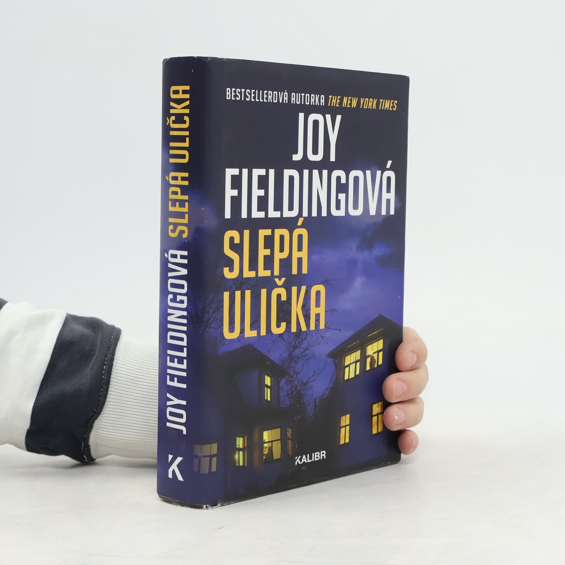 Joy Fielding Slepá ulička