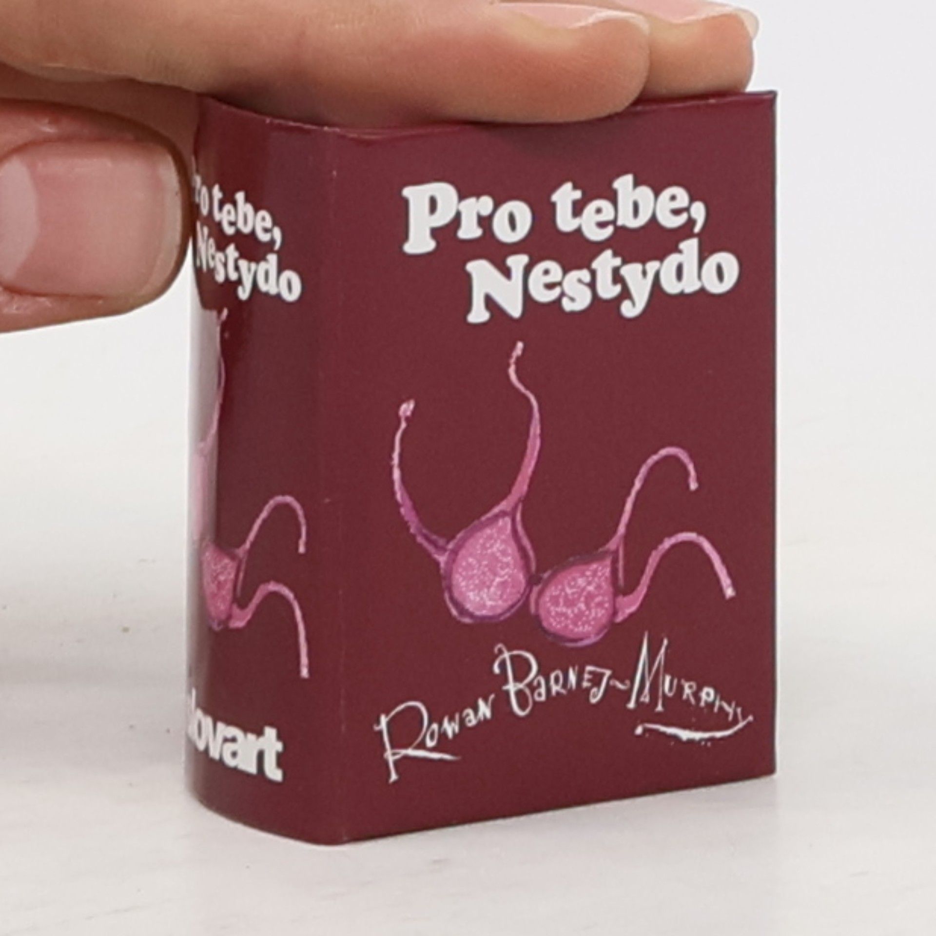 Helen Exley Pro tebe, nestydo