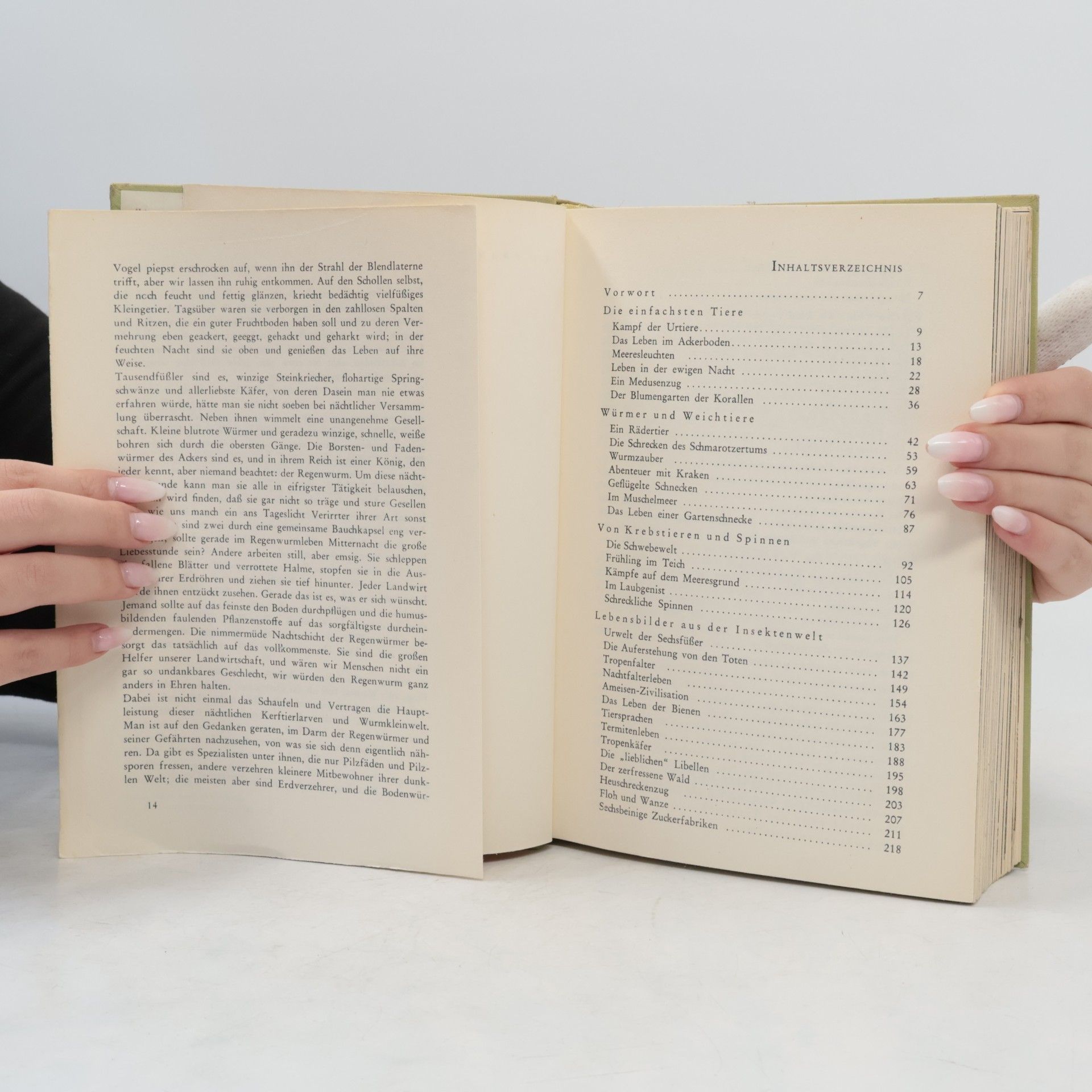 R. H. Francé Die Welt der Tiere