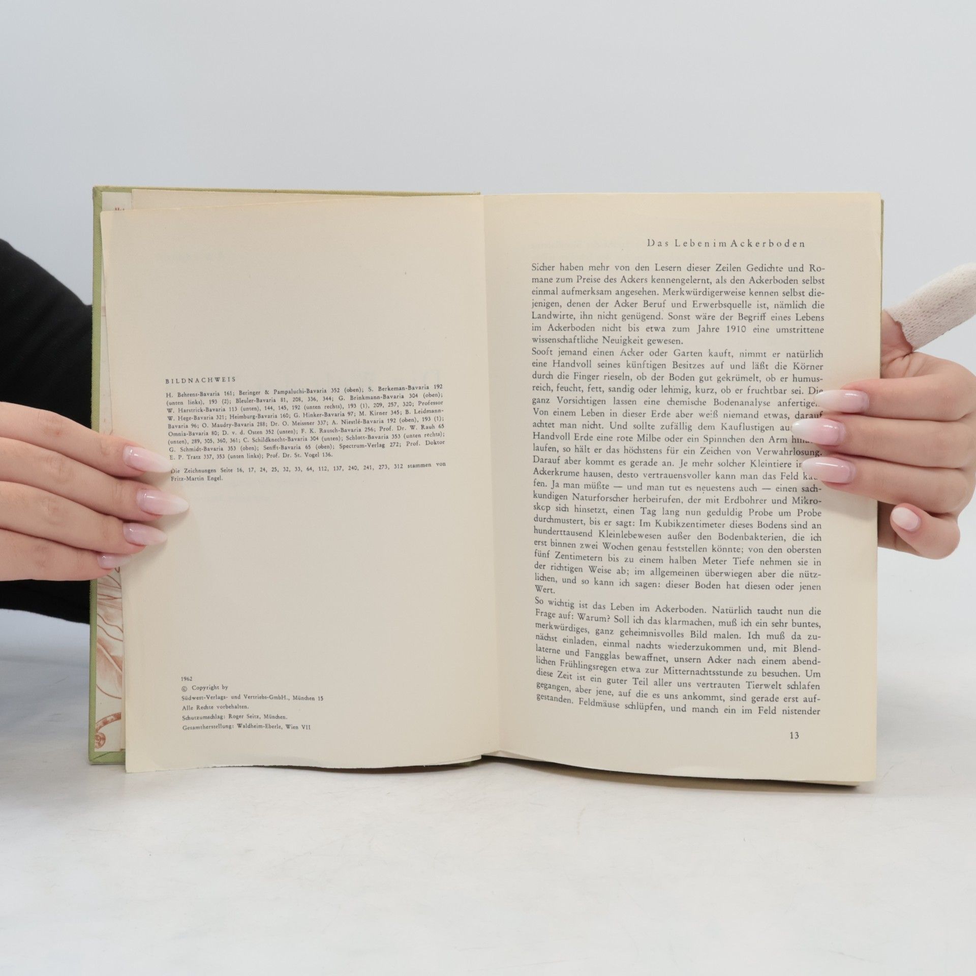 R. H. Francé Die Welt der Tiere