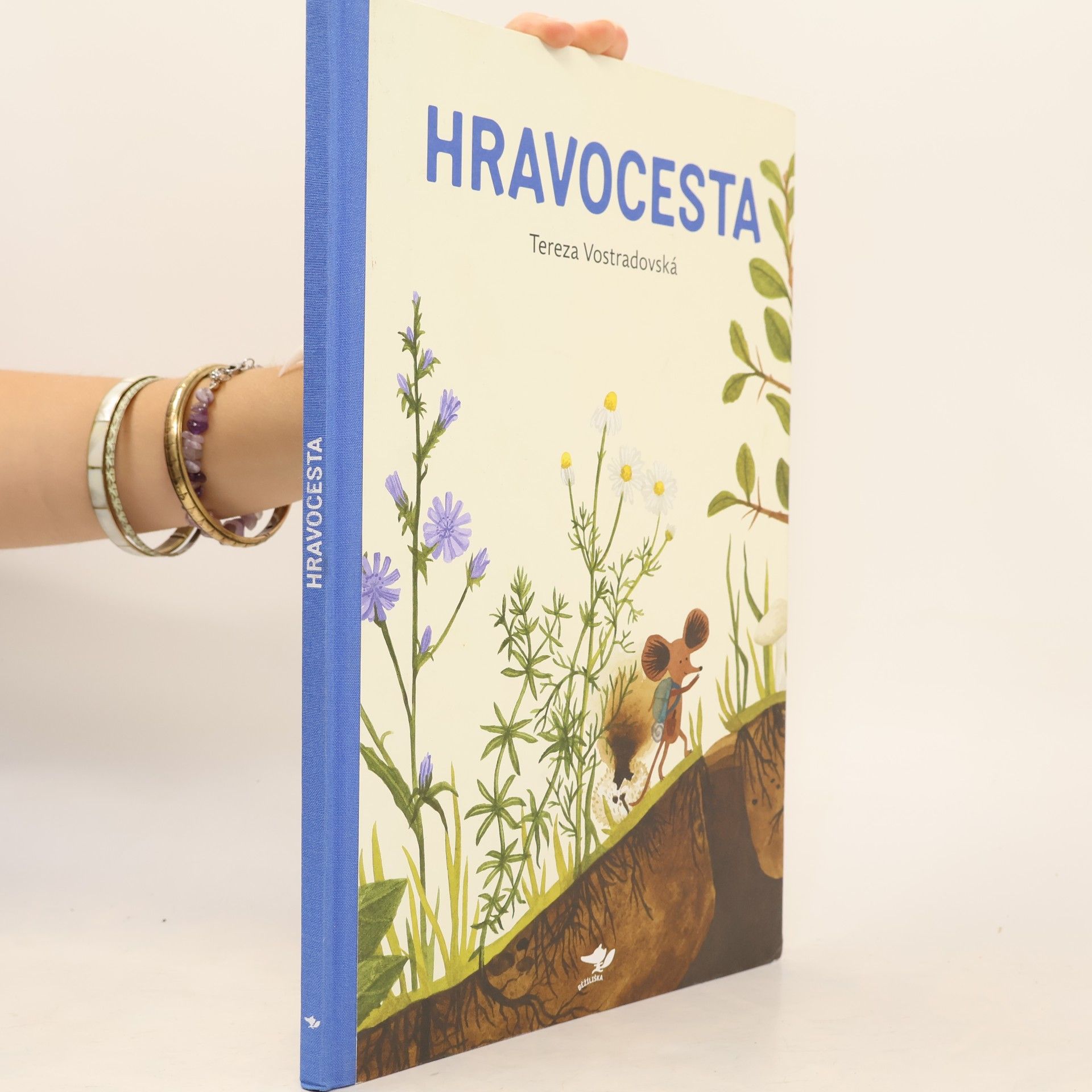 Tereza Vostradovská Hravocesta
