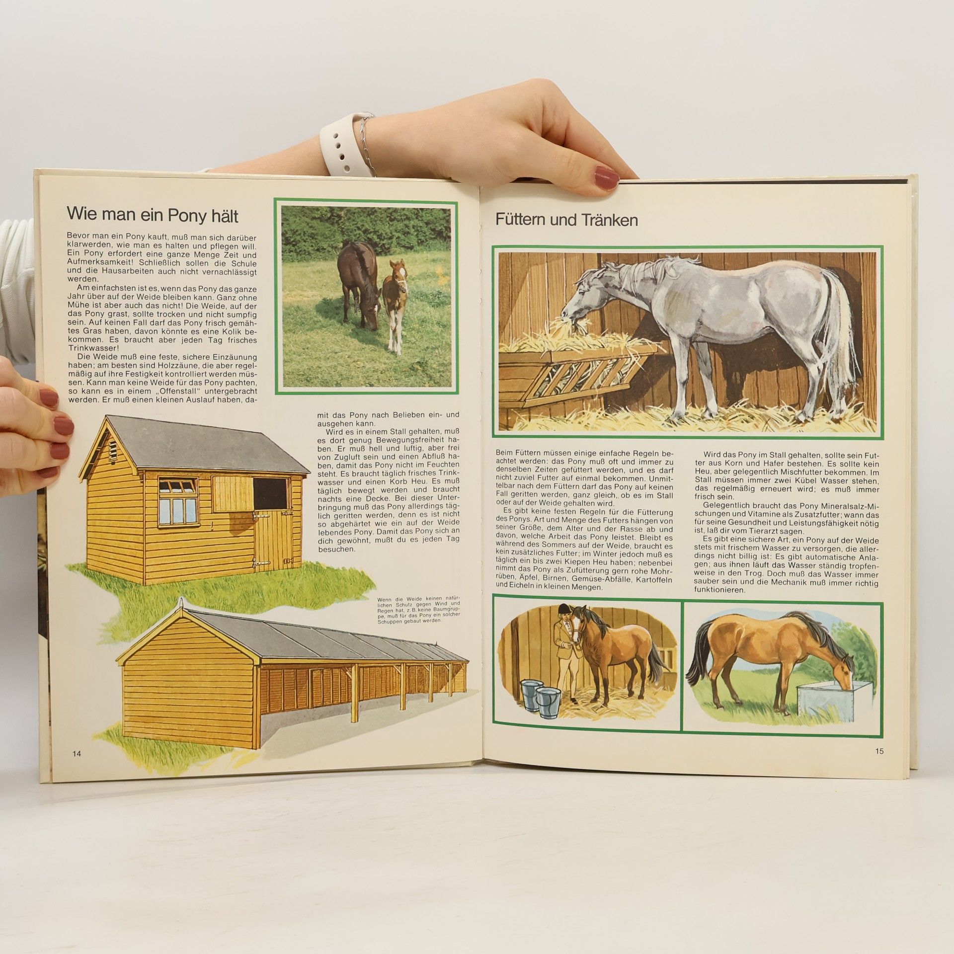 Robert Owen Spass am Reiten