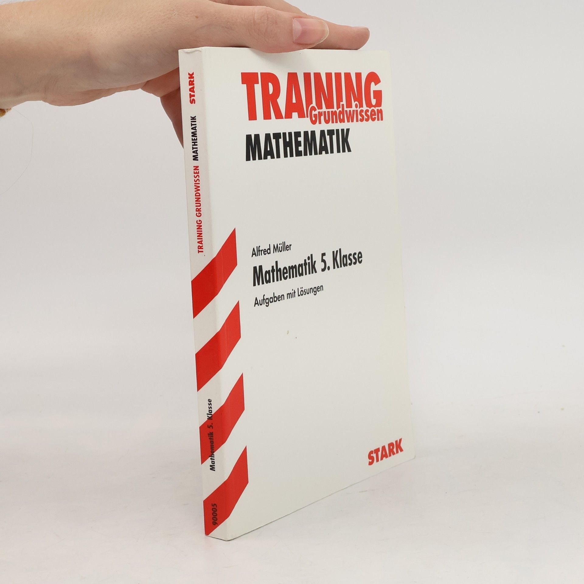 Alfred Müller Training Mathematik - Mathematik 5. Klasse