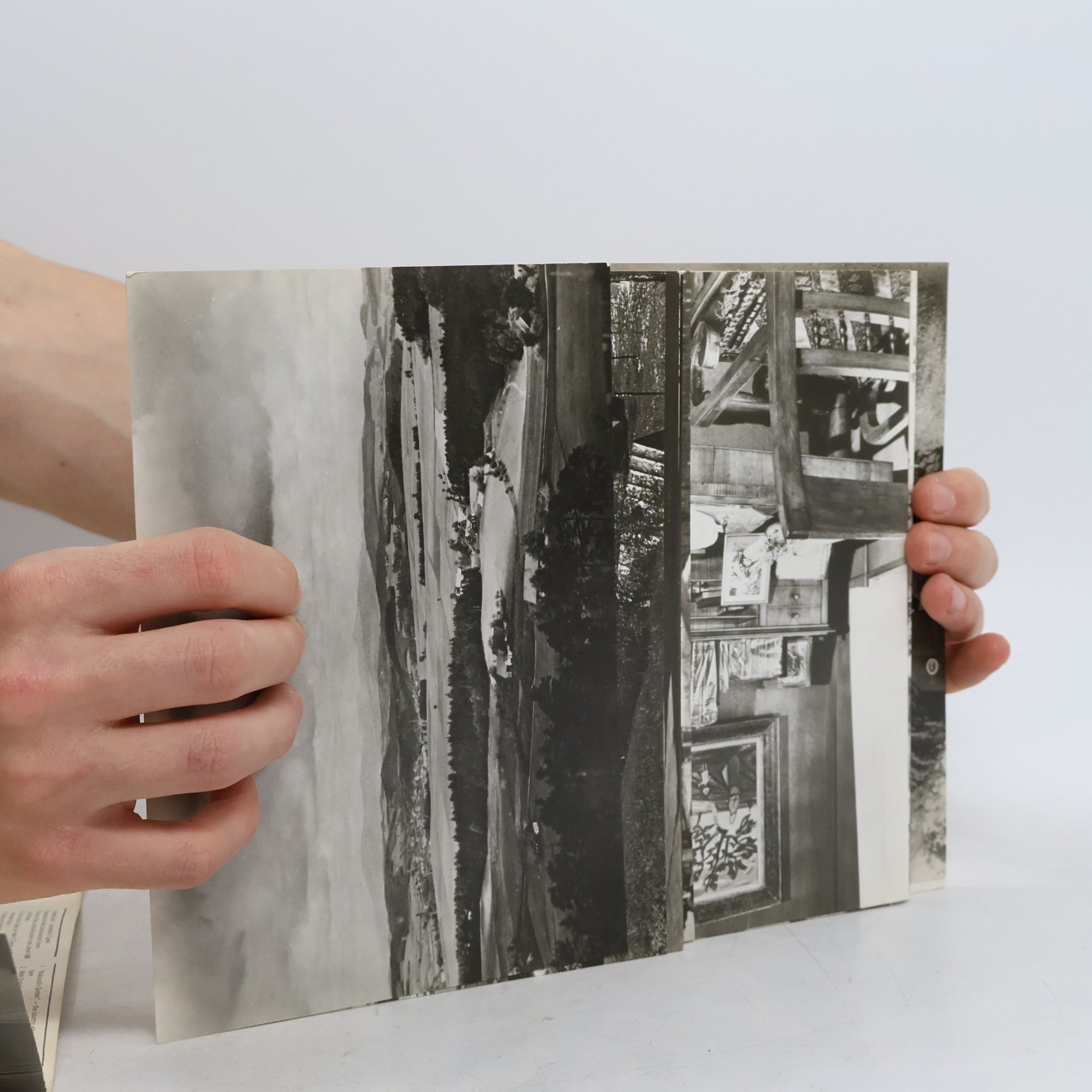 Kolektiv autorů Karel Čapek ve fotografii