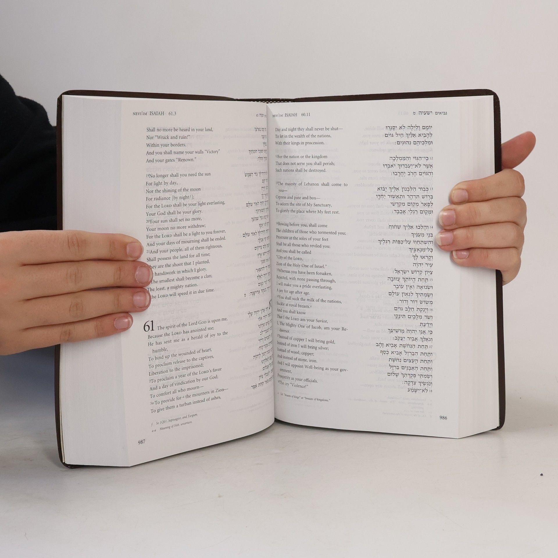 JPS Hebrew-English Tanakh Student Edition