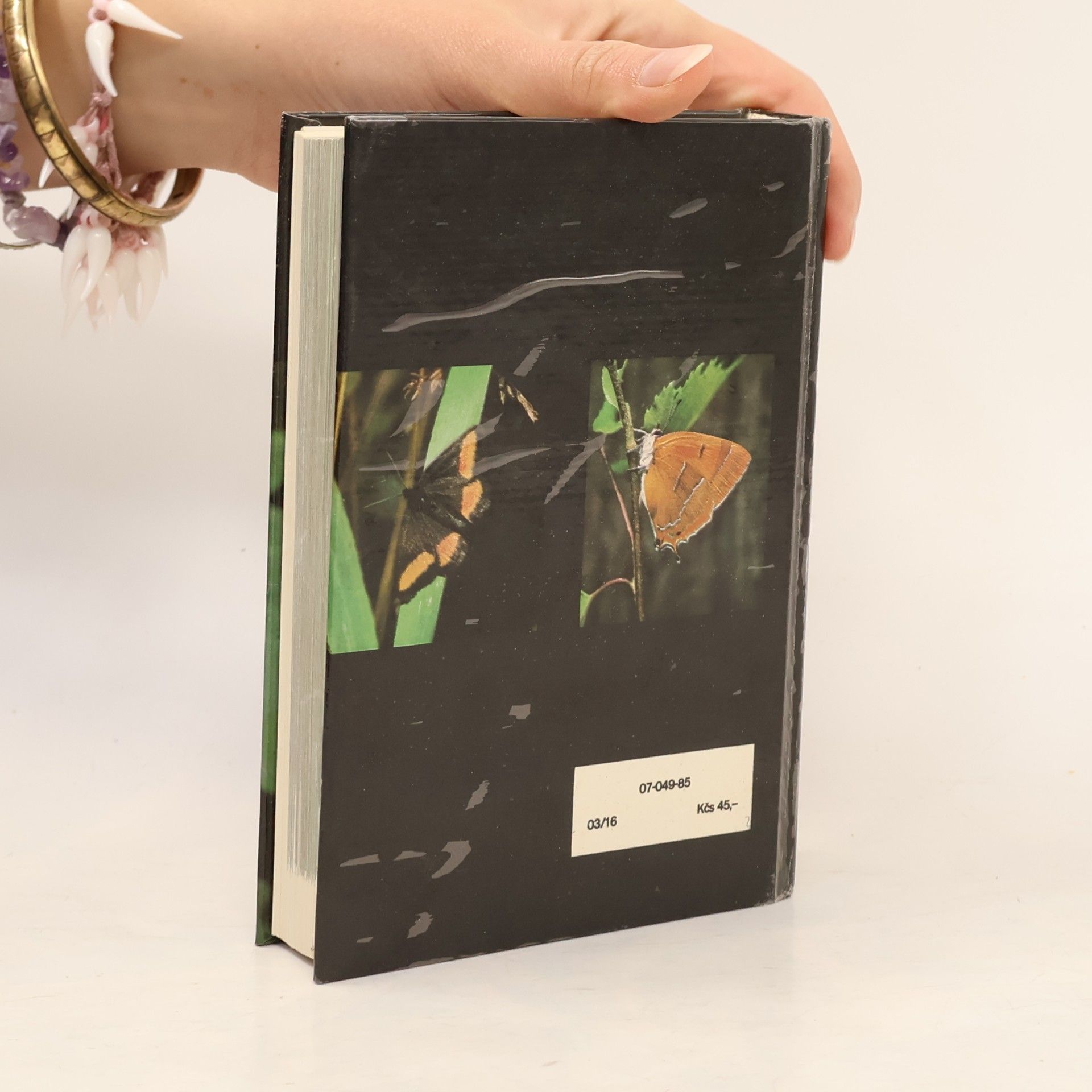 Rudolf Hrabák Kapesní atlas našich motýlů