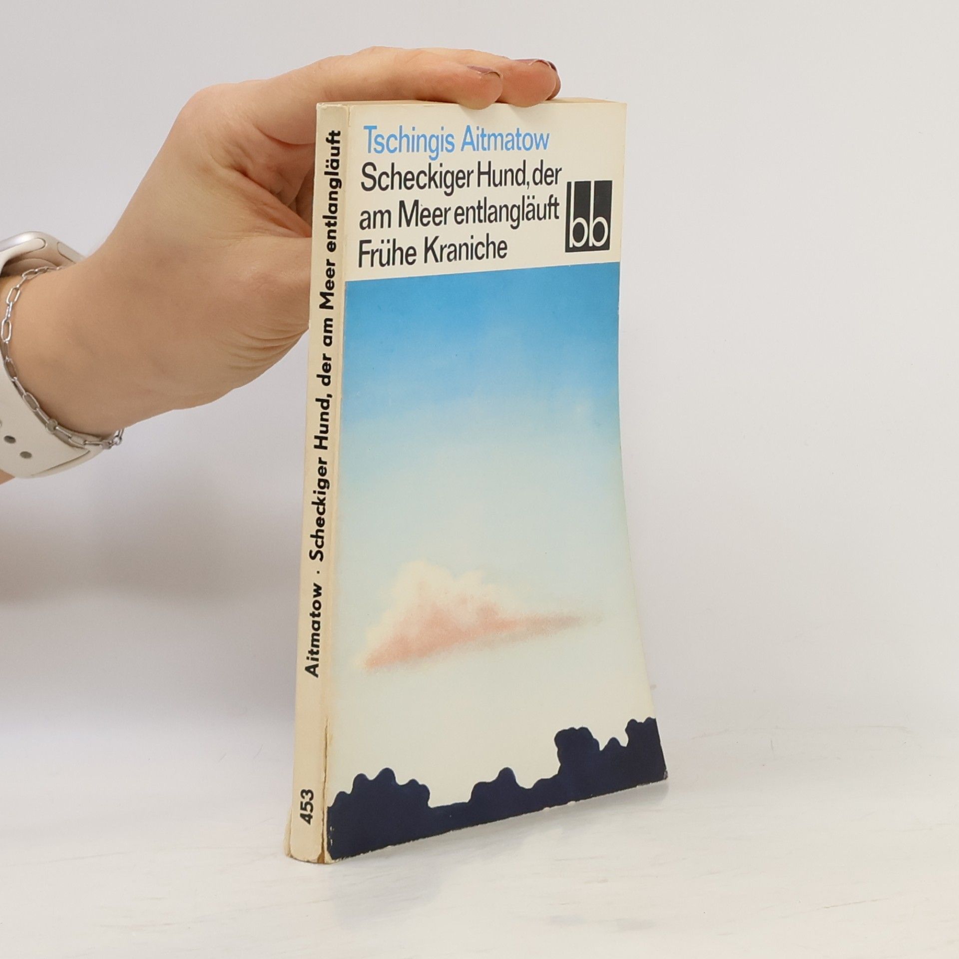 Scheckiger Hund, der am Meer entlangläuft