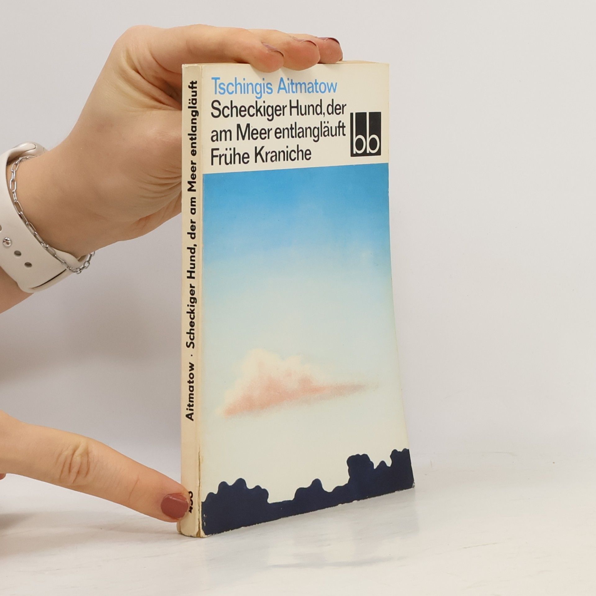 Chinghiz Aitmatov Scheckiger Hund, der am Meer entlangläuft