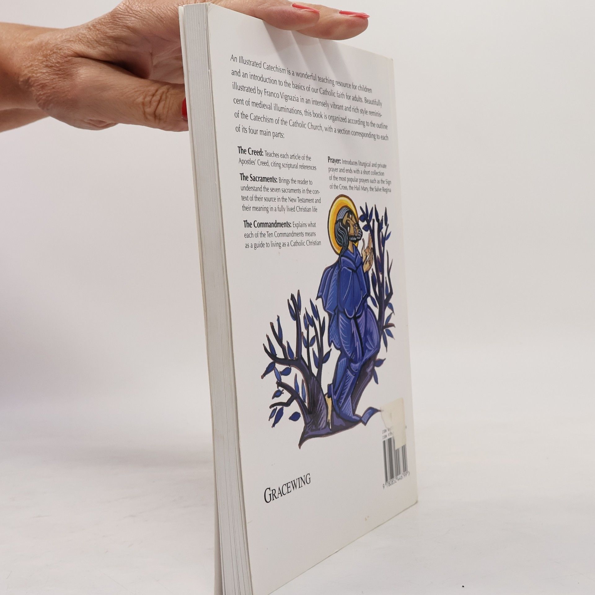 Inos Biffi An Illustrated Catechism