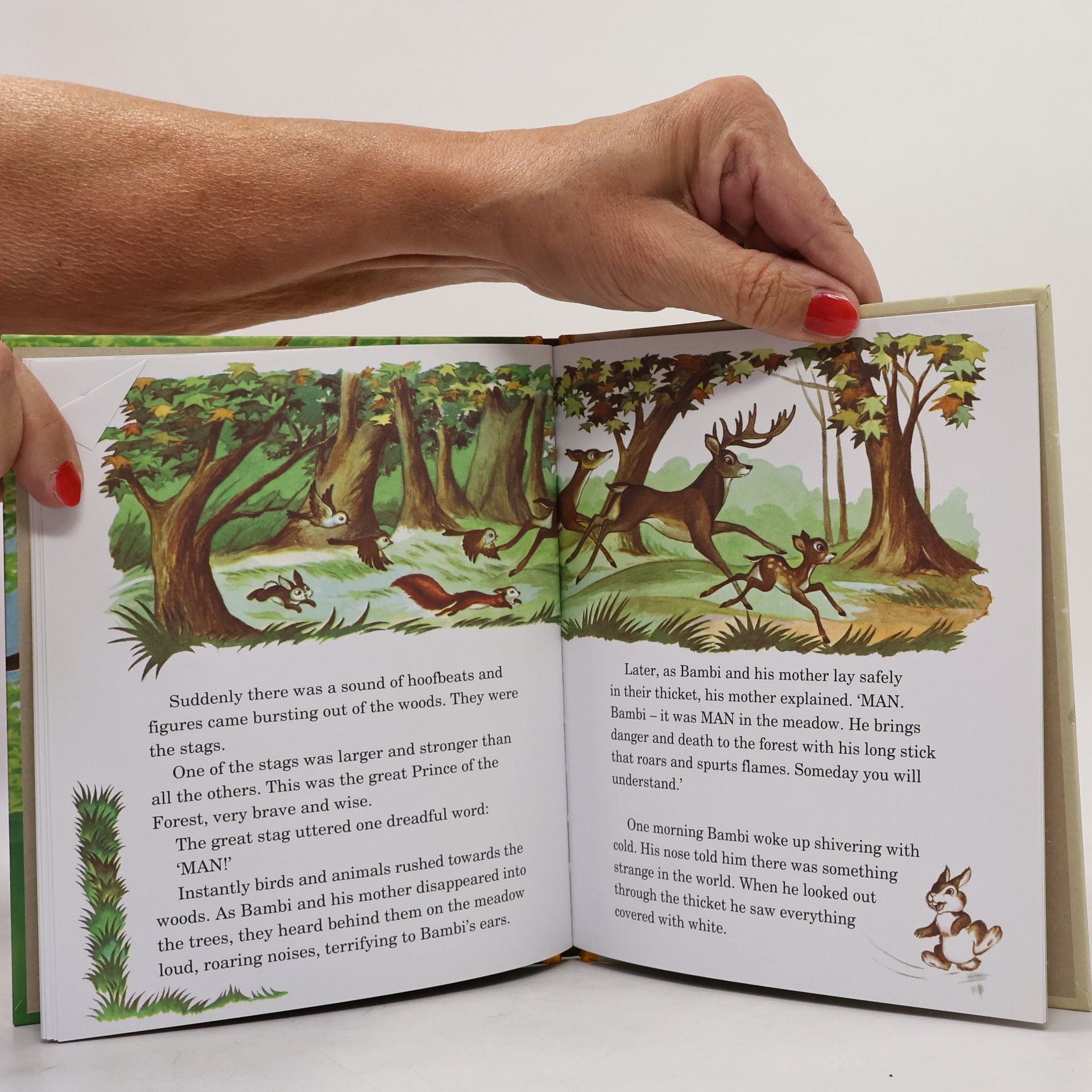 Felix Salten A Treasure Cove Story - 24: Bambi