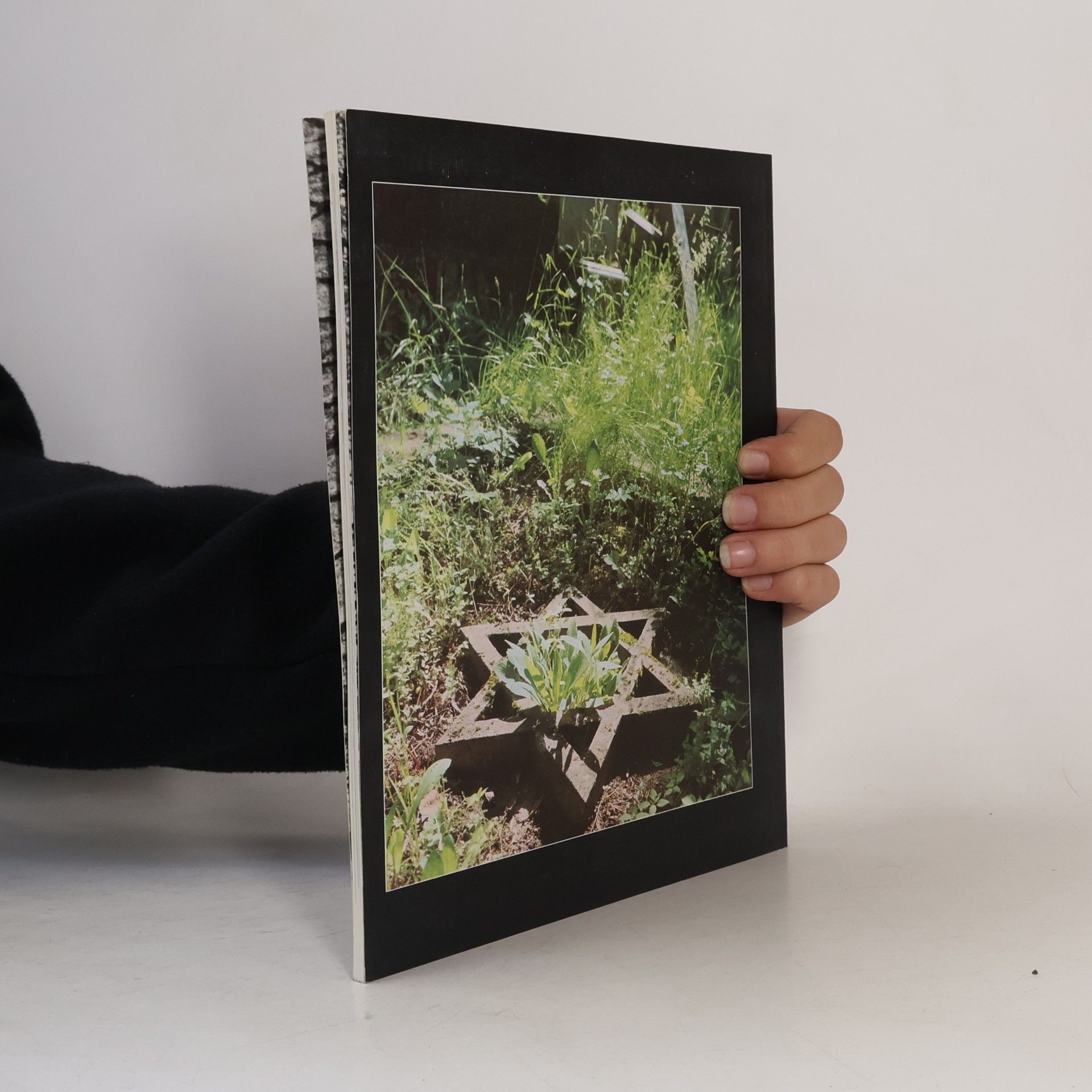 Vladimír Bláha Boskovice ve fotografiích Vladimíra Bláhy