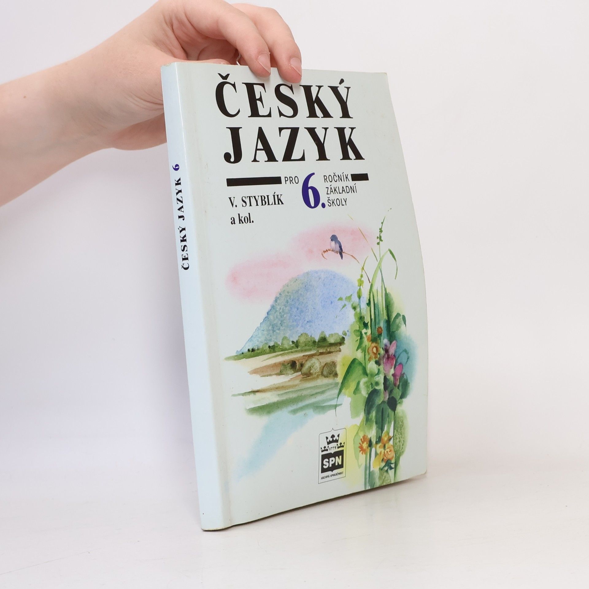 Český jazyk pro 6. ročník základní školy