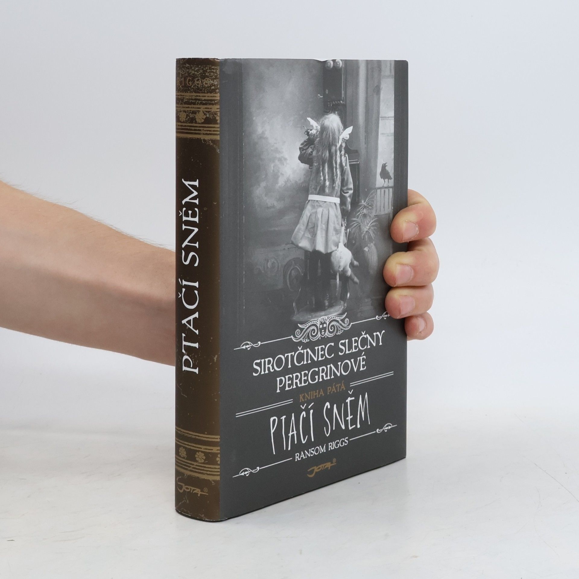 Ransom Riggs Ptačí sněm