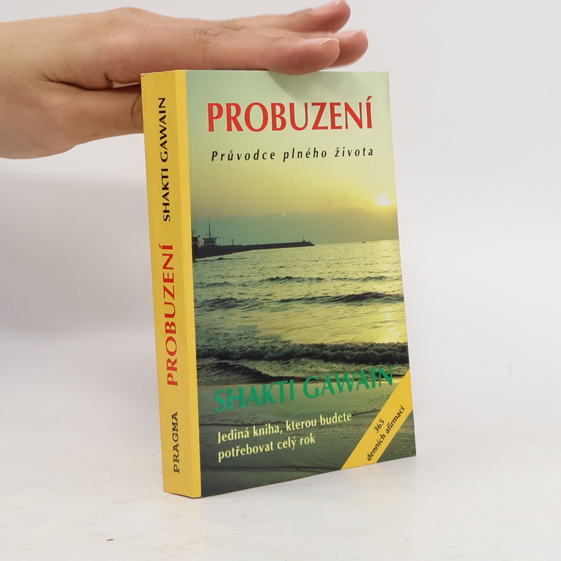 Shakti Gawain Probuzení. Průvodce plného života