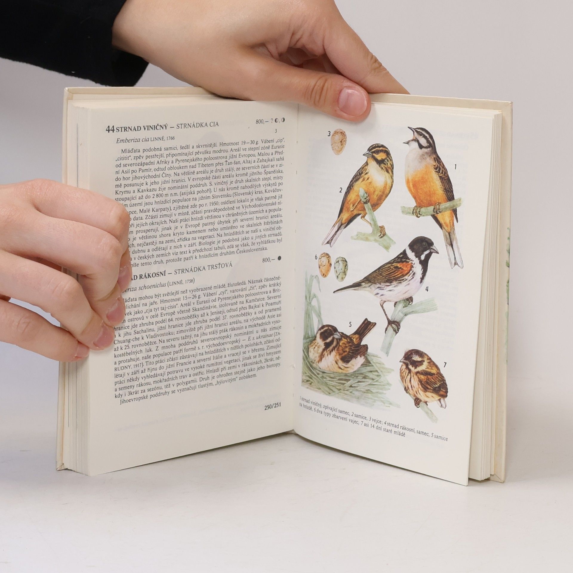 Autorenkollektiv Kapesní atlas chráněných a ohrožených živočichů 3. díl