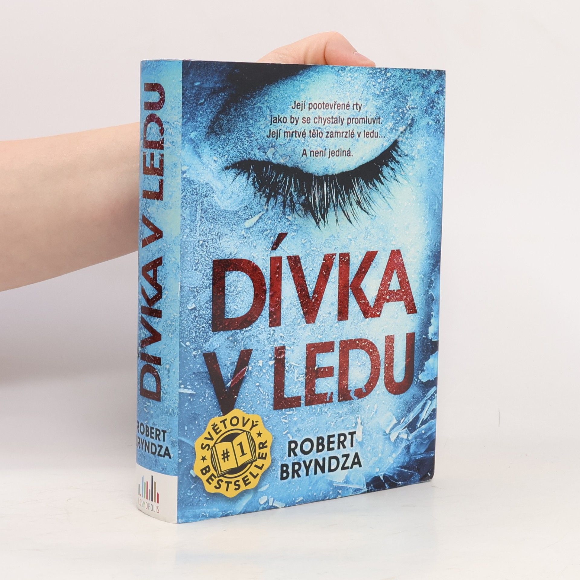 Robert Bryndza Dívka v ledu