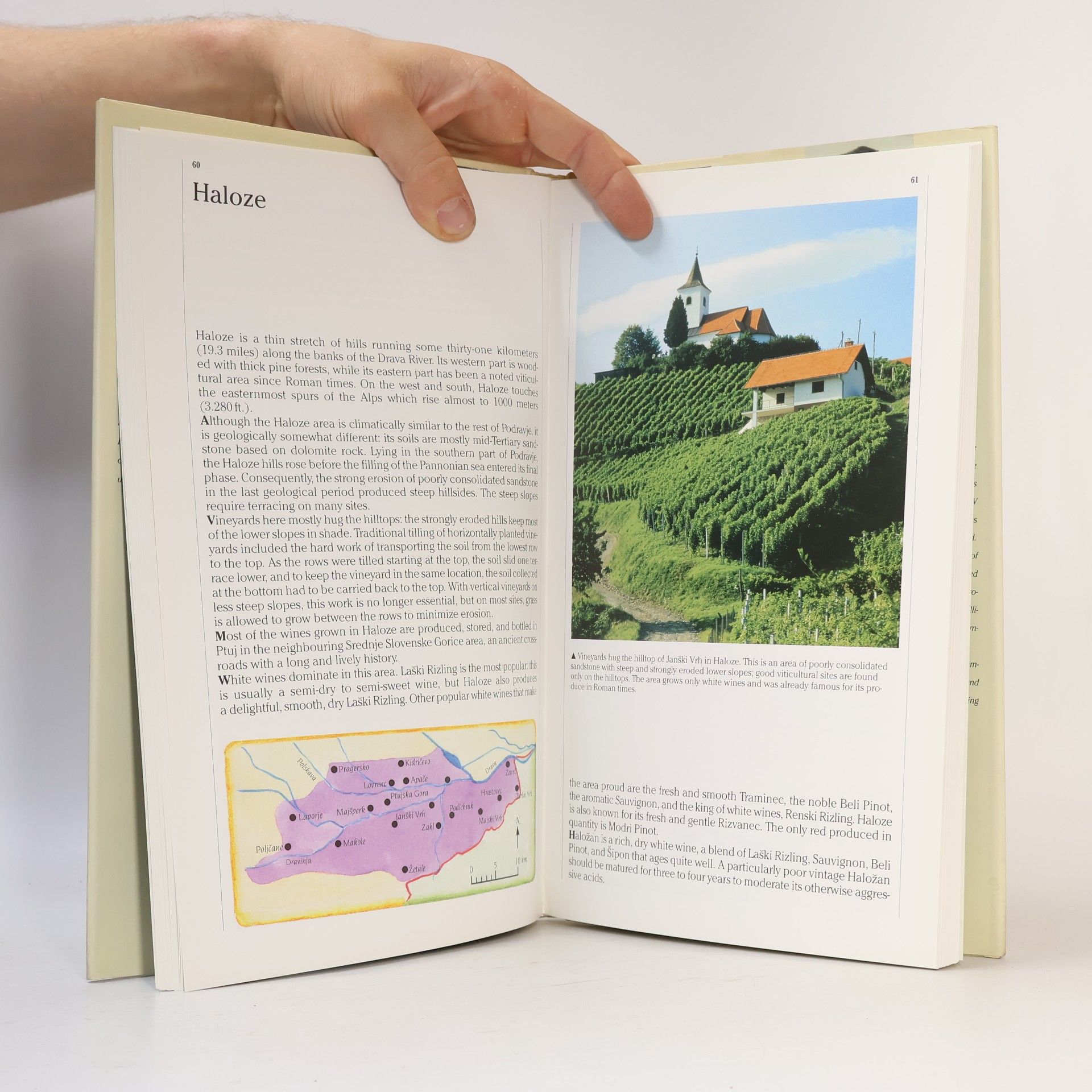 Mišo Alkalaj Wines of Slovenia