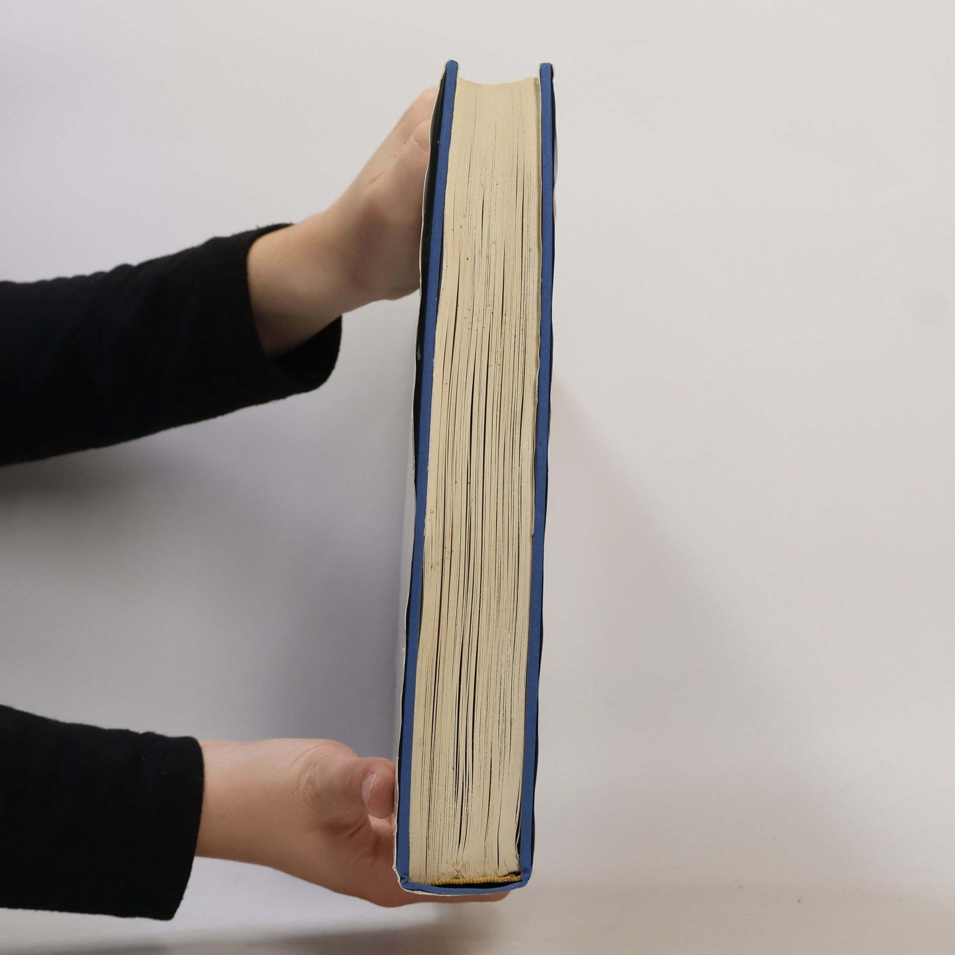 Autorenkollektiv Französische Malerei