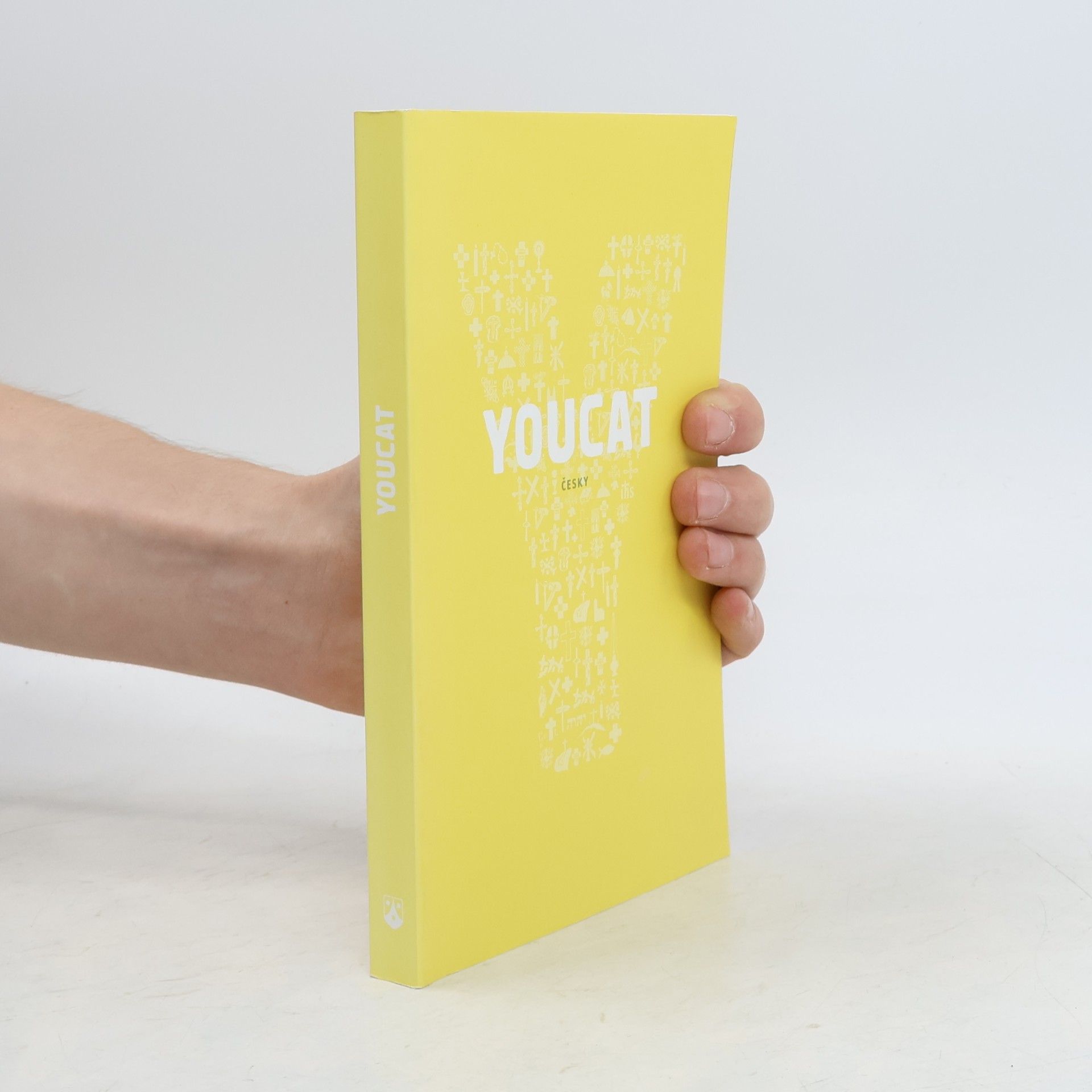 Various authors Youcat: katechismus katolické církve pro mladé