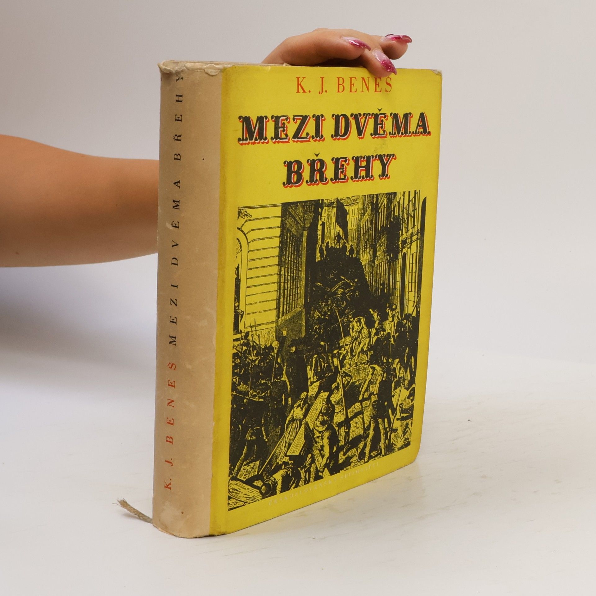 Karel Josef Beneš Mezi dvěma břehy