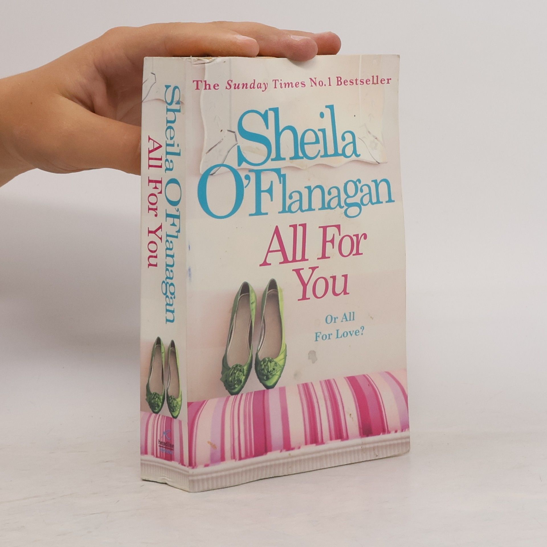 Sheila O’Flanagan All for You