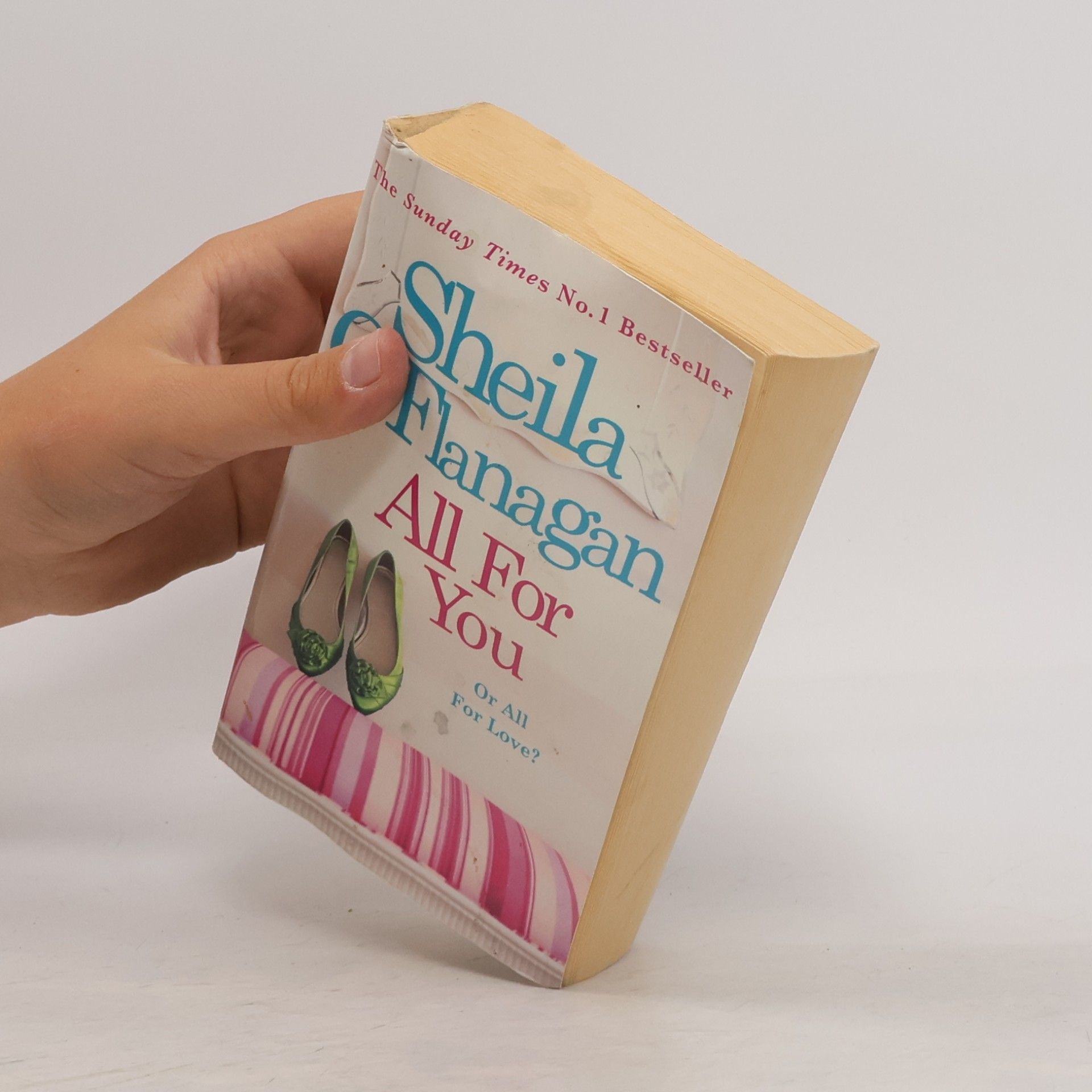 Sheila O’Flanagan All for You