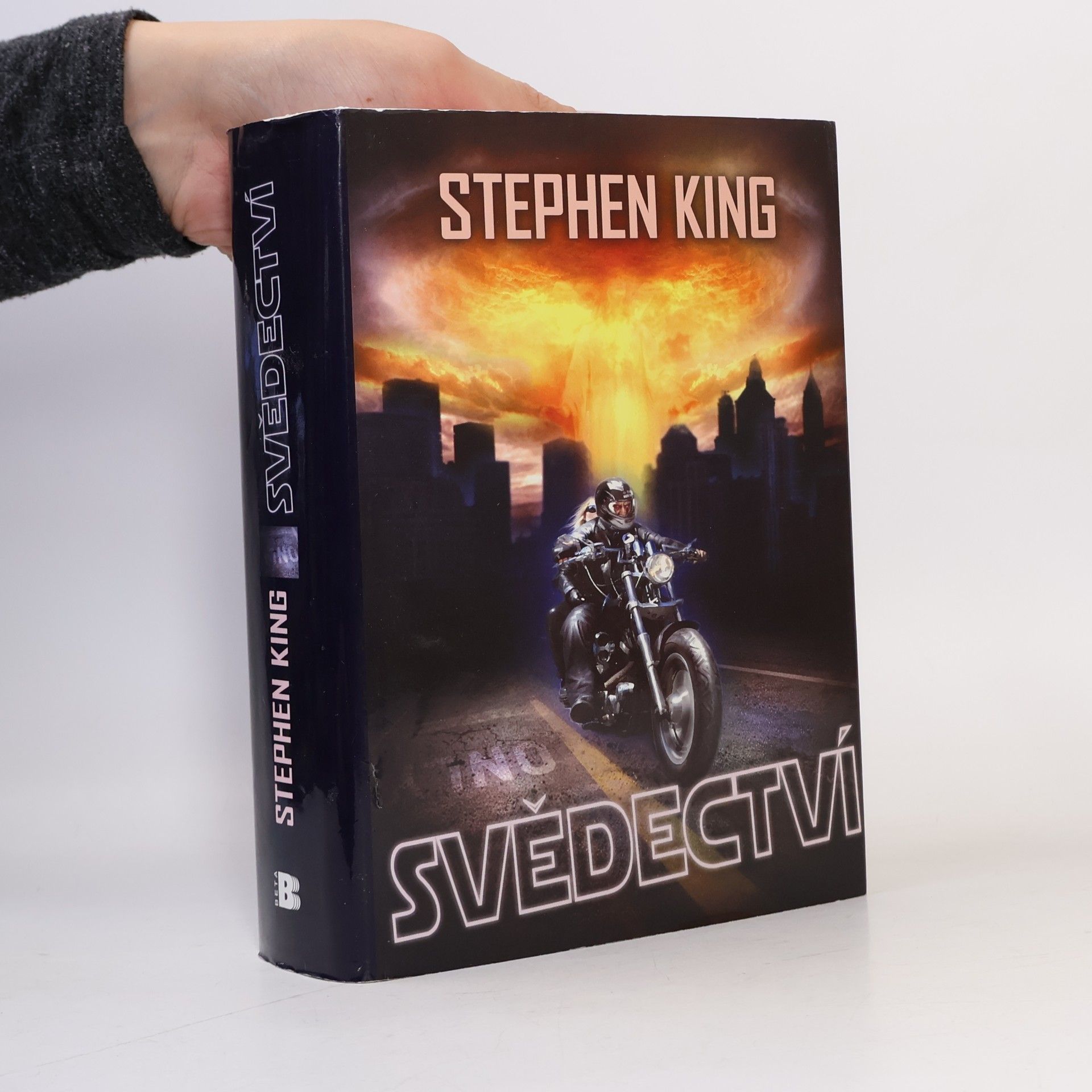 Stephen King Svědectví