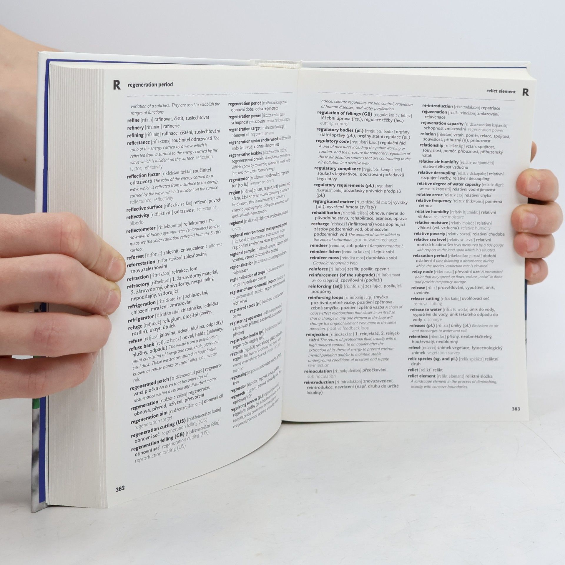 Autorenkollektiv Anglicko-český a česko-anglický slovník životního prostředí a udržitelného rozvoje
