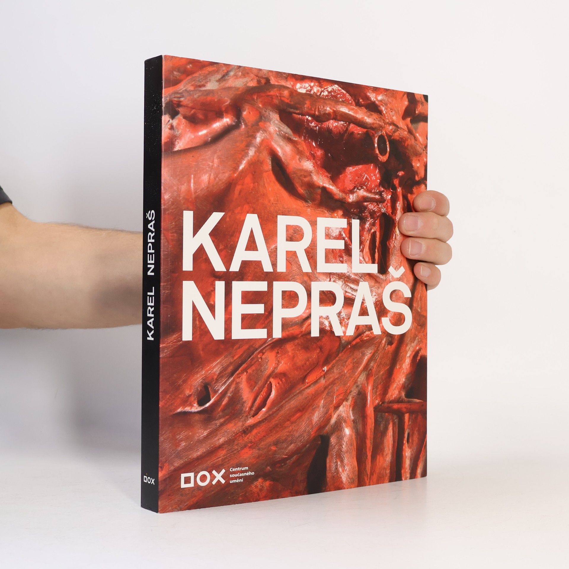 Kolektív autorov Karel Nepraš