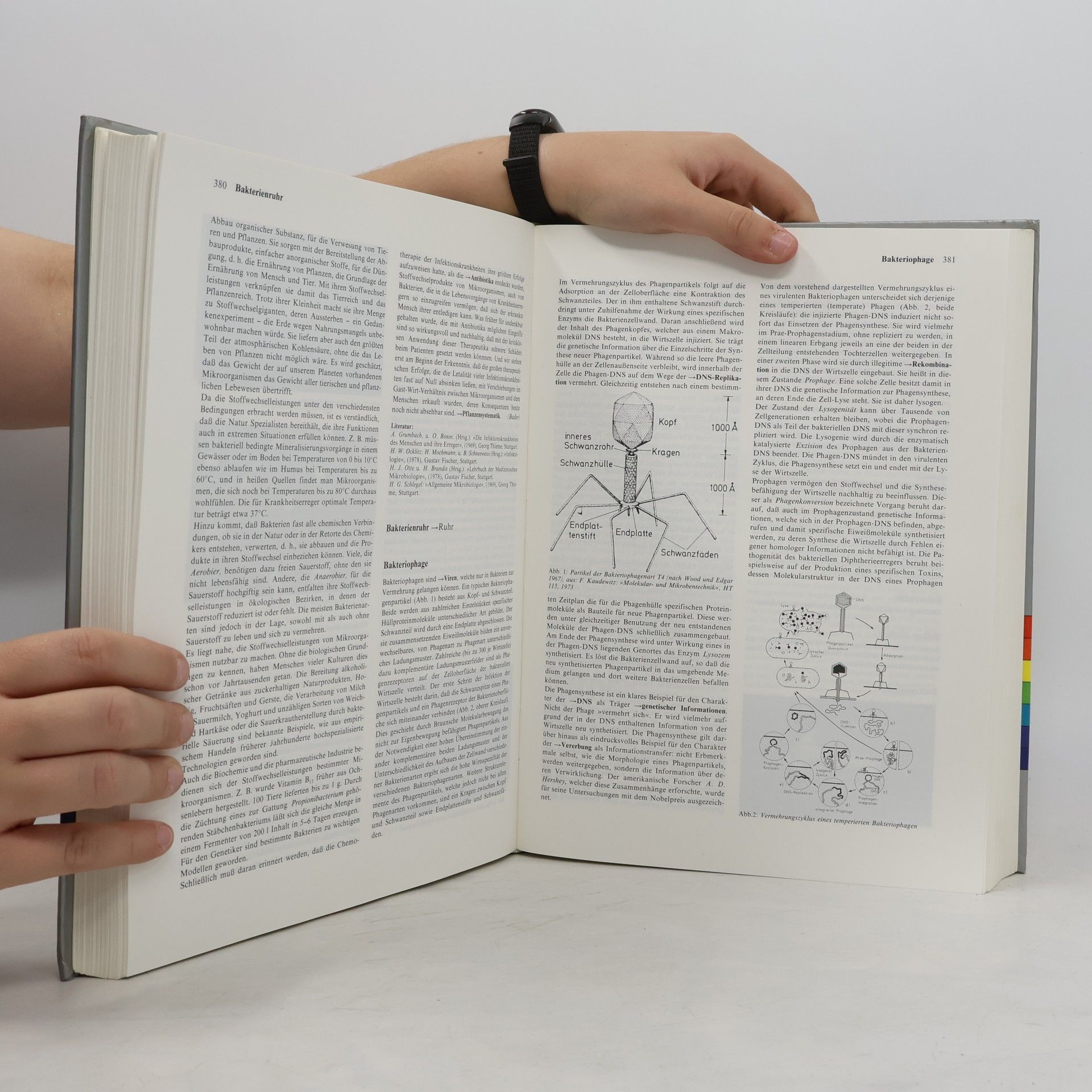Autorenkollektiv Enzyklopädie Naturwissenschaft und Technik