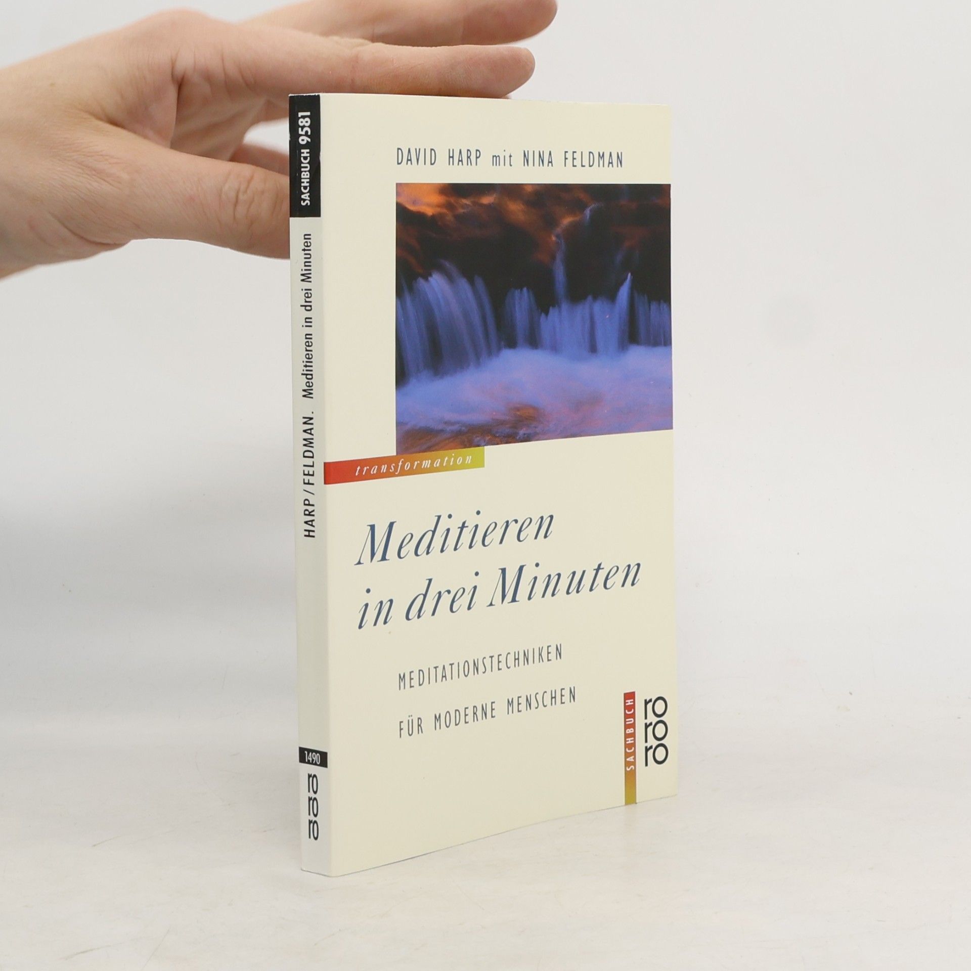 David Harp Meditieren in drei Minuten