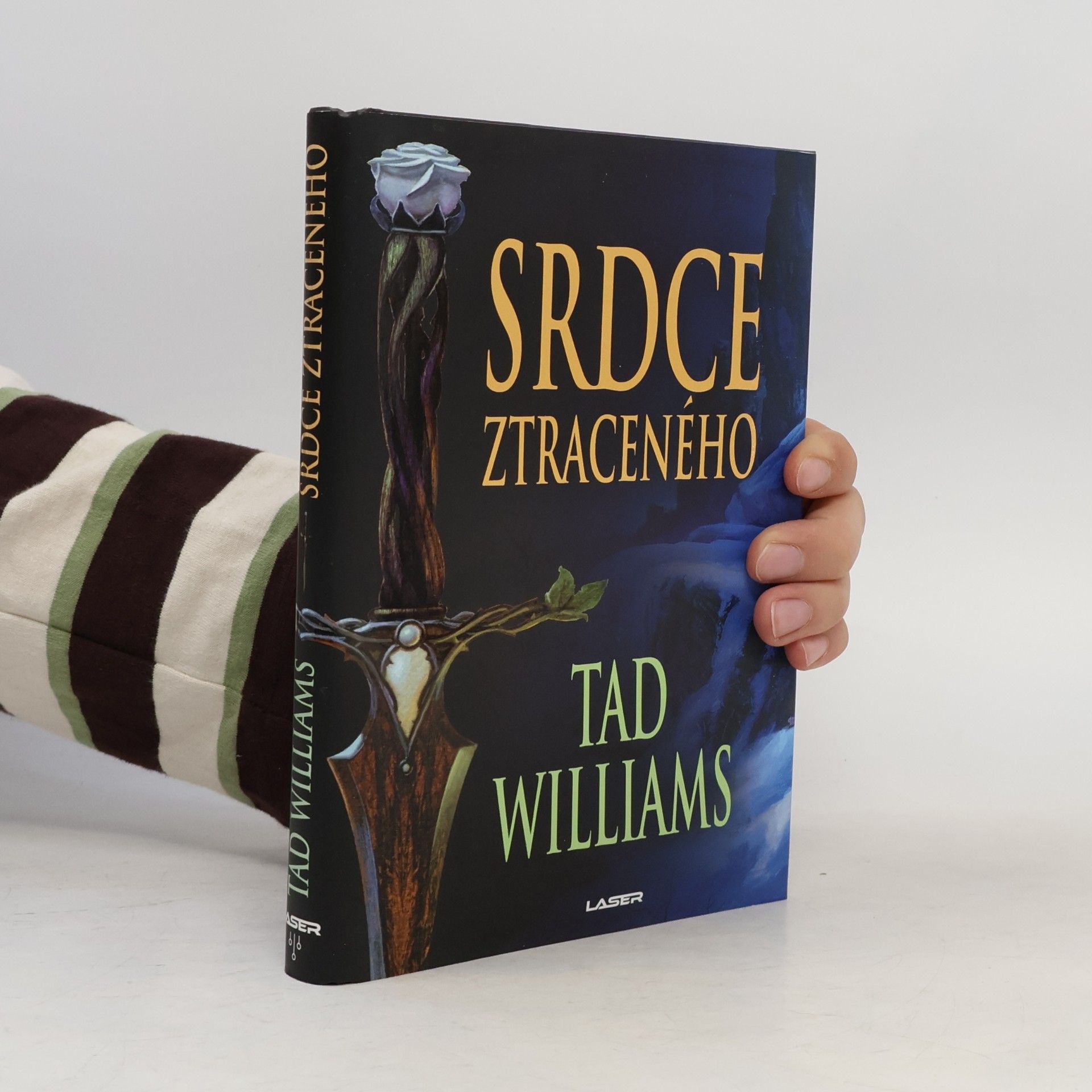 Tad Williams Srdce ztraceného